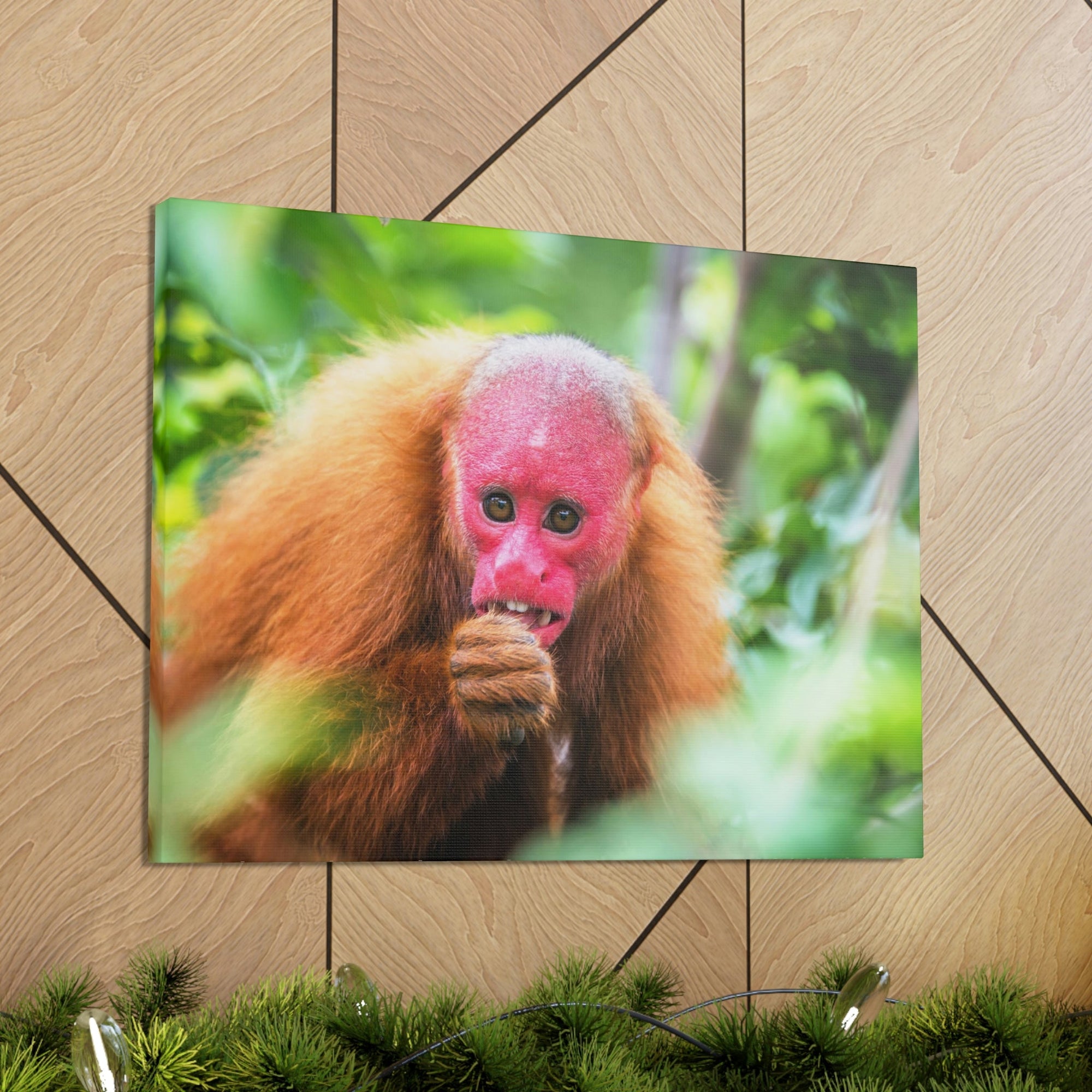 Funny Uakari Silly Uakari Scene Outside Wall Art Ready to Hang Unframed-Express Your Love Gifts