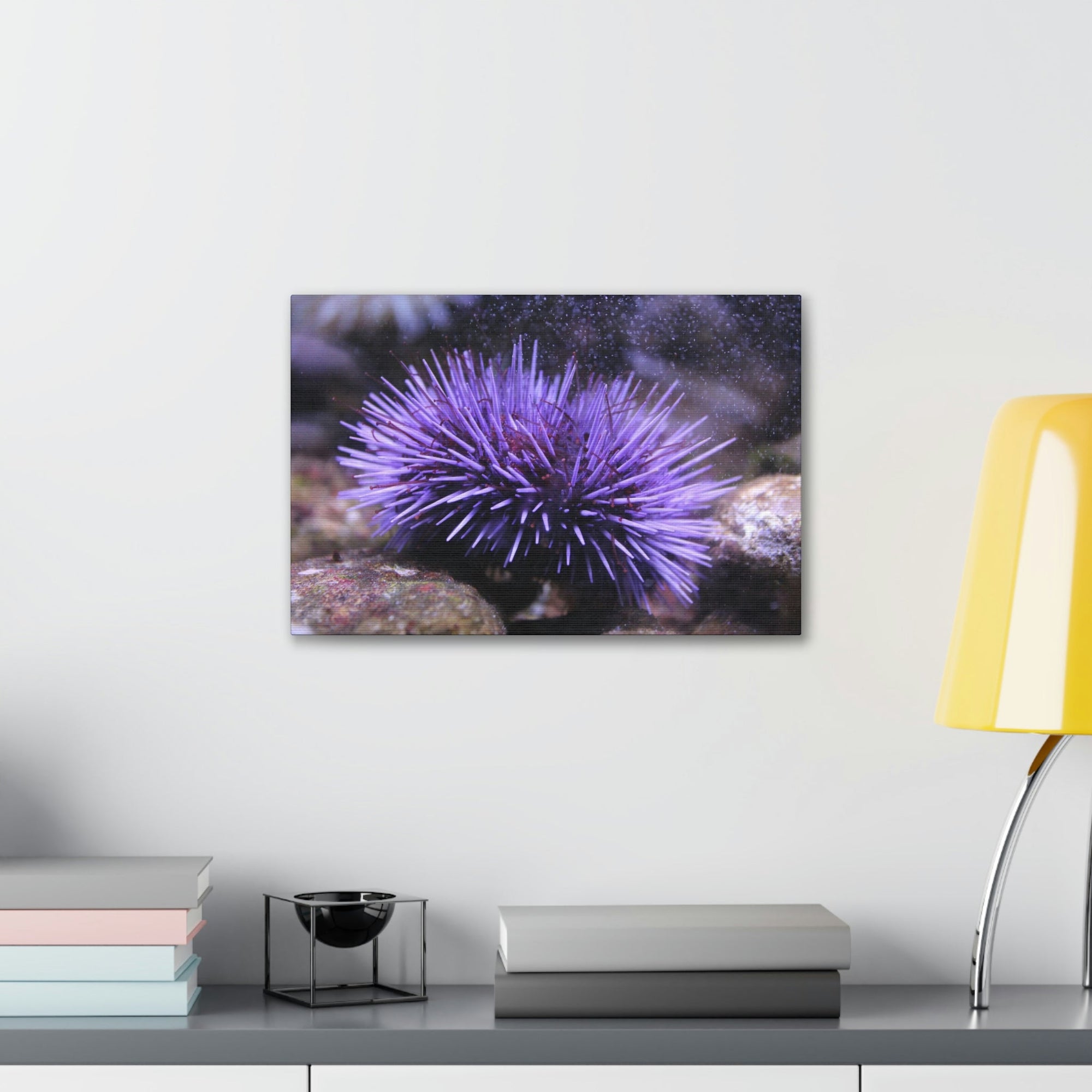 Funny Urchin Silly Urchin Scene Outside Wall Art Ready to Hang Unframed-Express Your Love Gifts