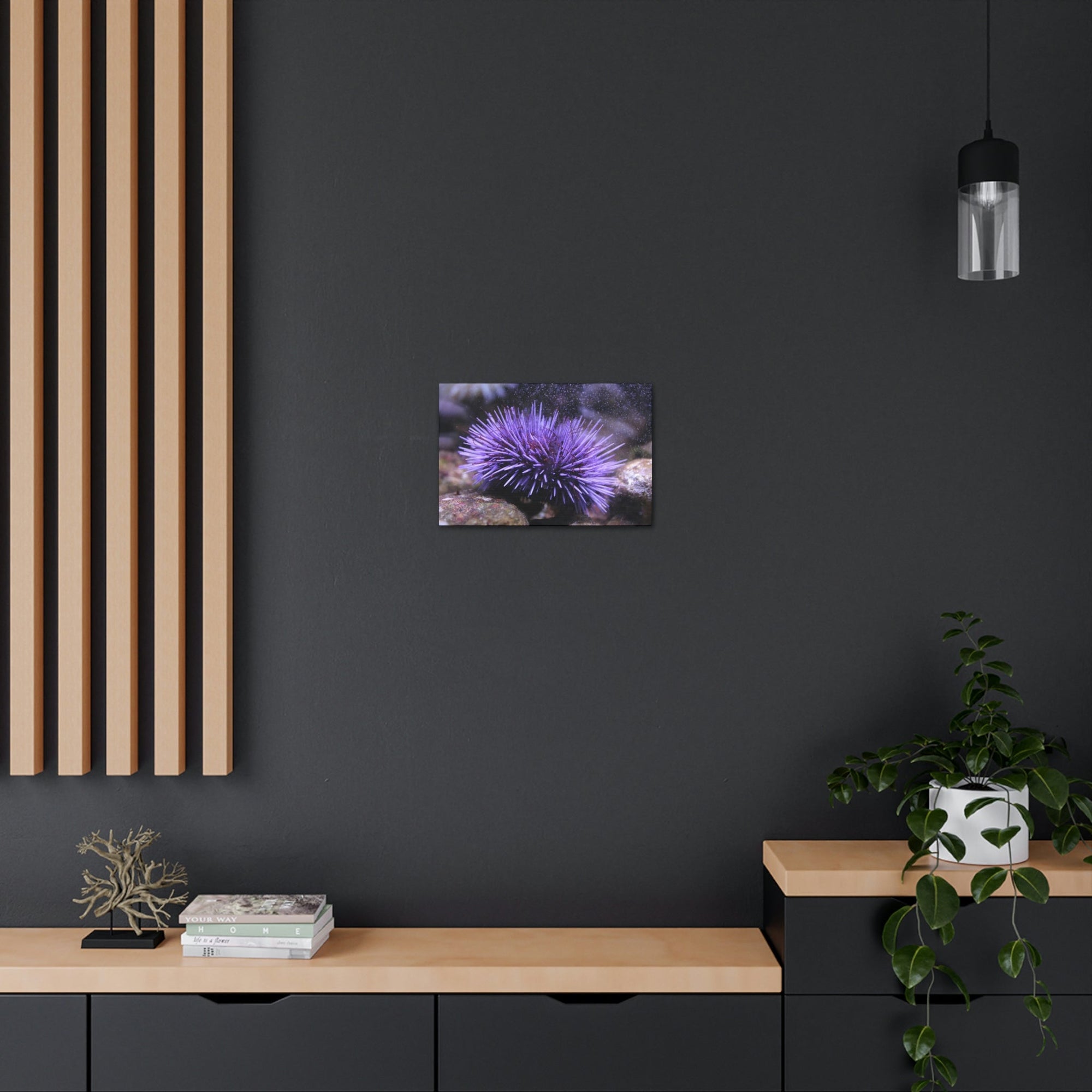 Funny Urchin Silly Urchin Scene Outside Wall Art Ready to Hang Unframed-Express Your Love Gifts