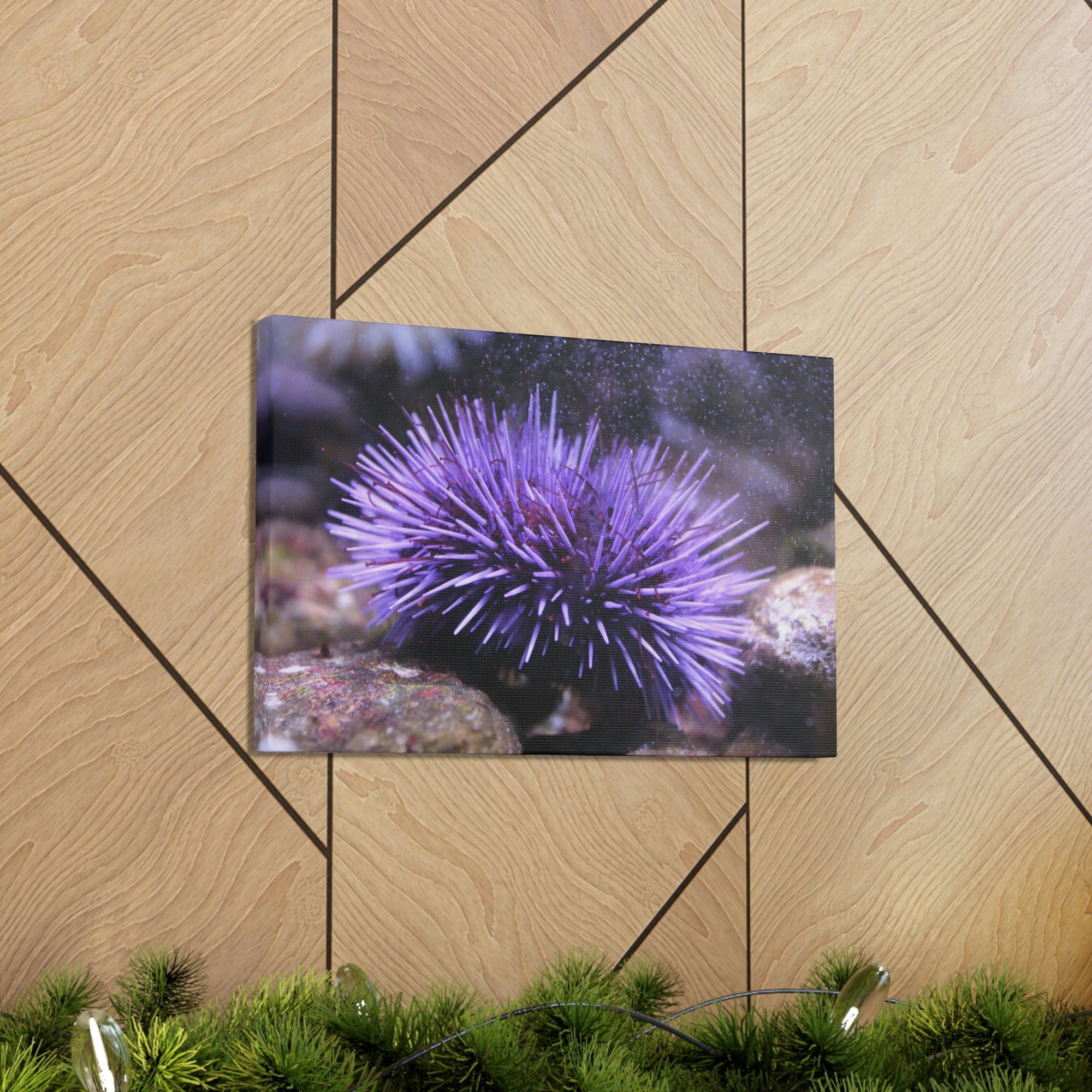 Funny Urchin Silly Urchin Scene Outside Wall Art Ready to Hang Unframed-Express Your Love Gifts