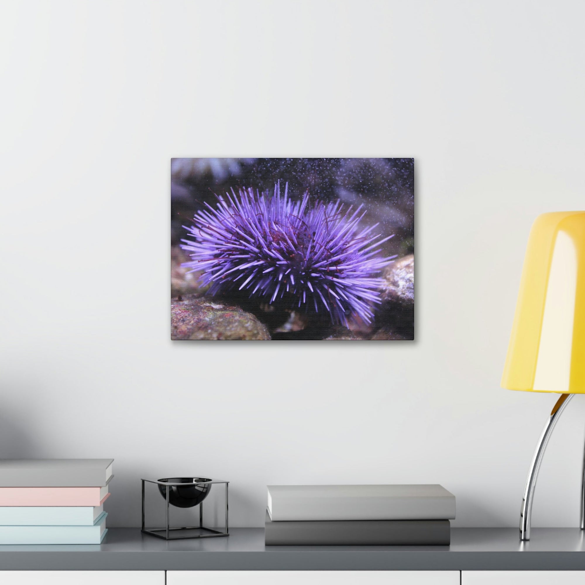 Funny Urchin Silly Urchin Scene Outside Wall Art Ready to Hang Unframed-Express Your Love Gifts