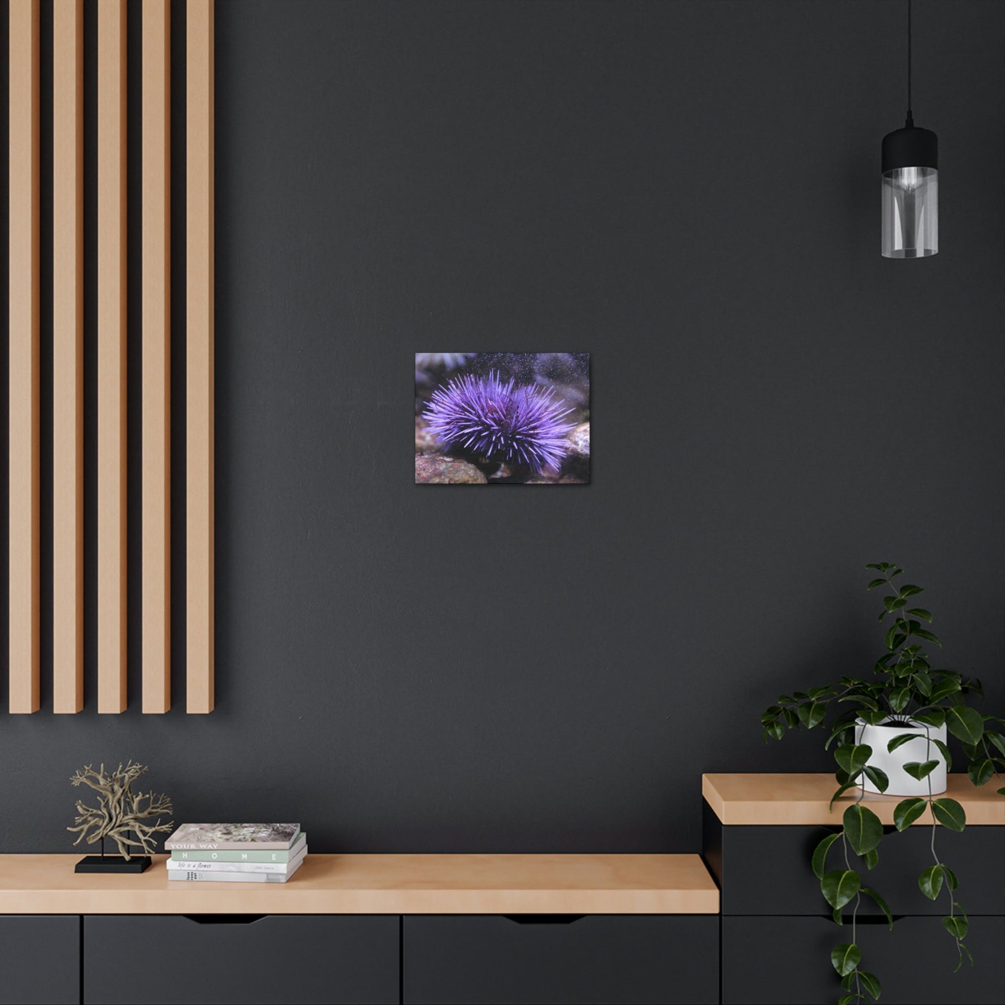 Funny Urchin Silly Urchin Scene Outside Wall Art Ready to Hang Unframed-Express Your Love Gifts