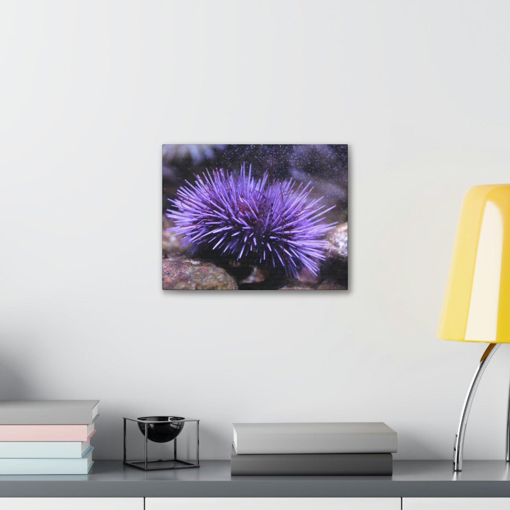 Funny Urchin Silly Urchin Scene Outside Wall Art Ready to Hang Unframed-Express Your Love Gifts