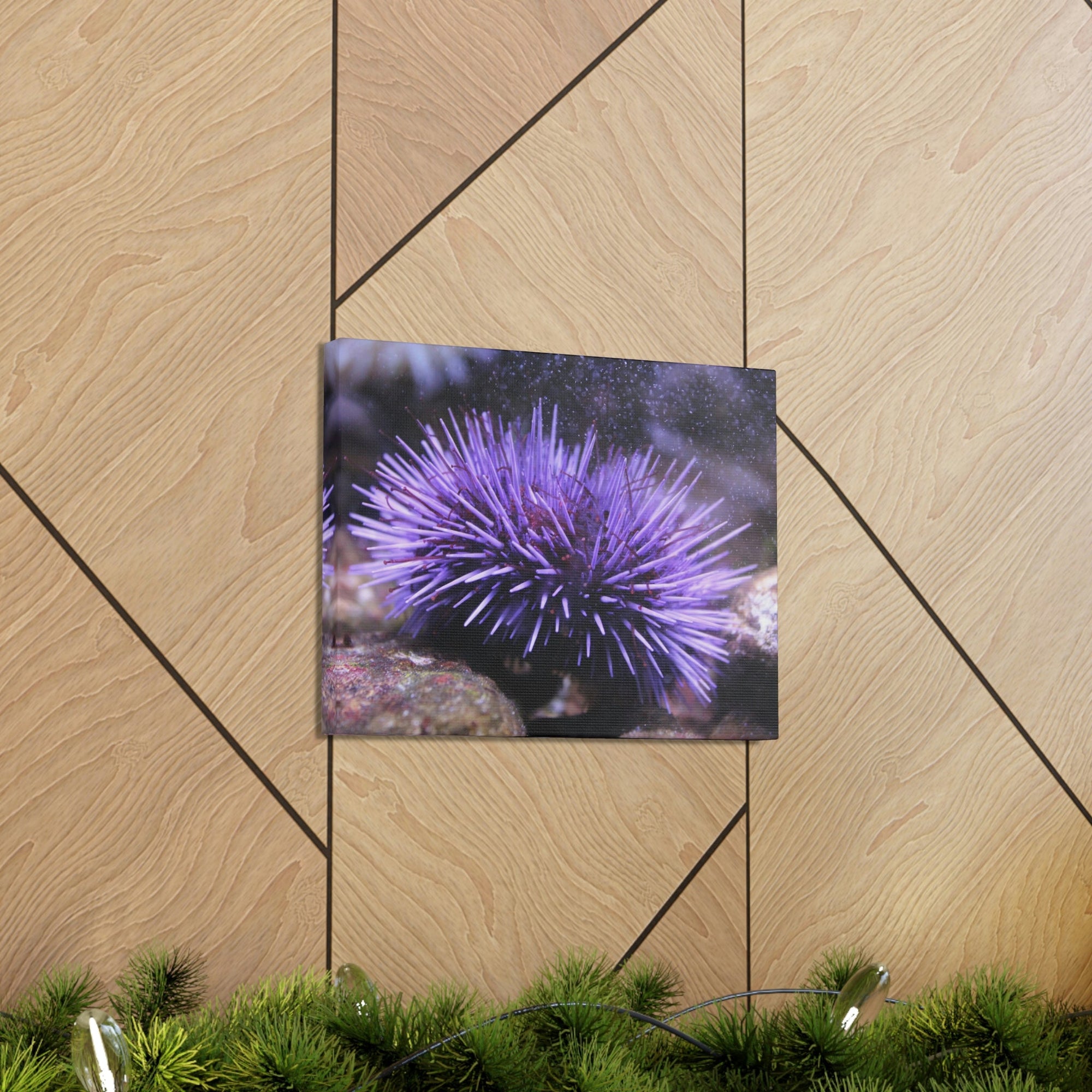 Funny Urchin Silly Urchin Scene Outside Wall Art Ready to Hang Unframed-Express Your Love Gifts