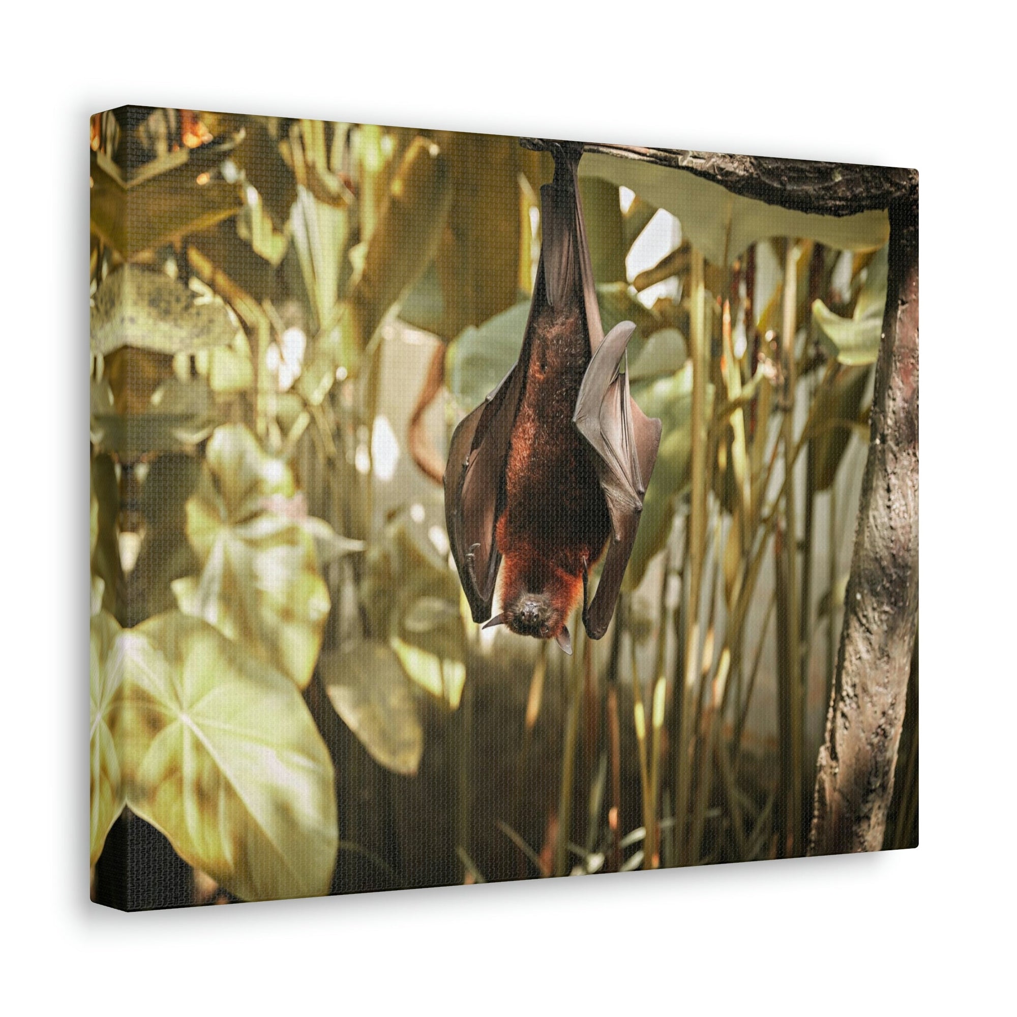 Funny Vampire Bat Silly Vampire Bat Scene Outside Wall Art Ready to Hang Unframed-Express Your Love Gifts