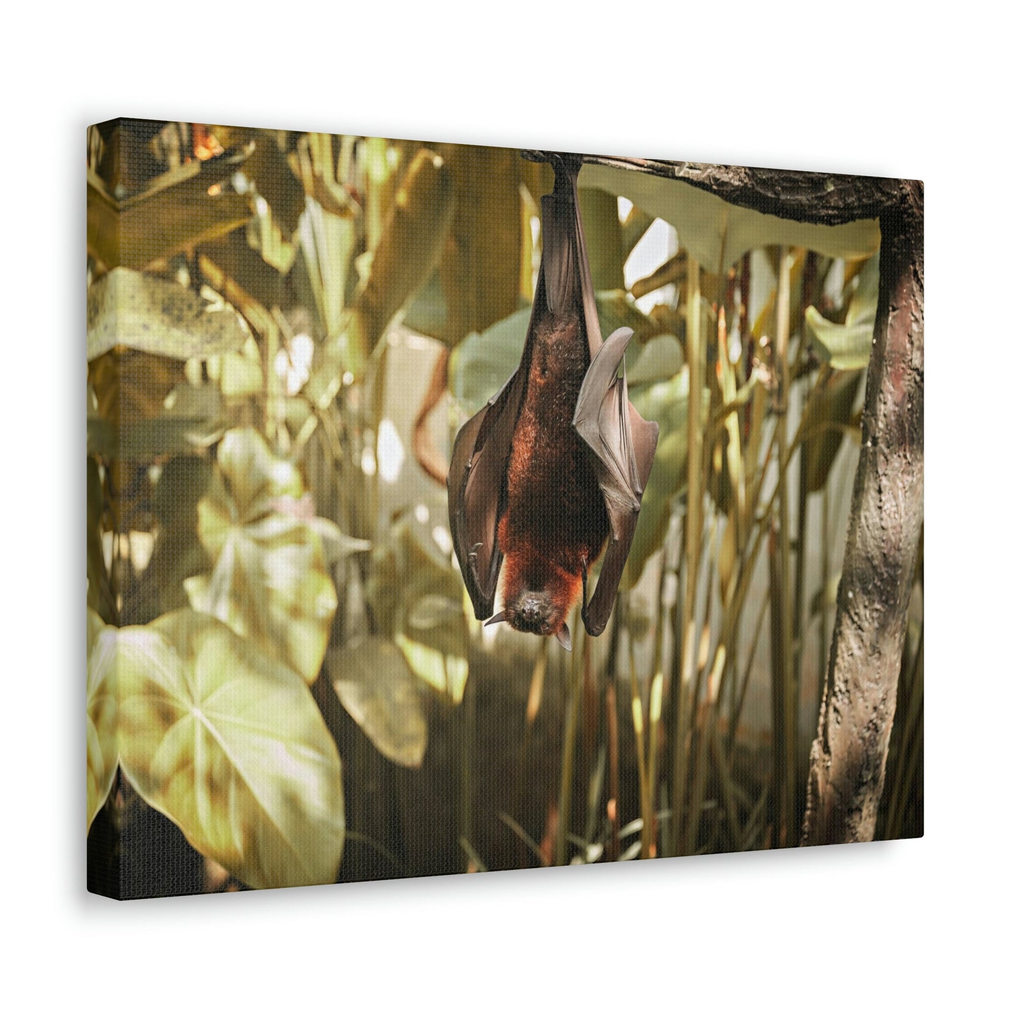 Funny Vampire Bat Silly Vampire Bat Scene Outside Wall Art Ready to Hang Unframed-Express Your Love Gifts