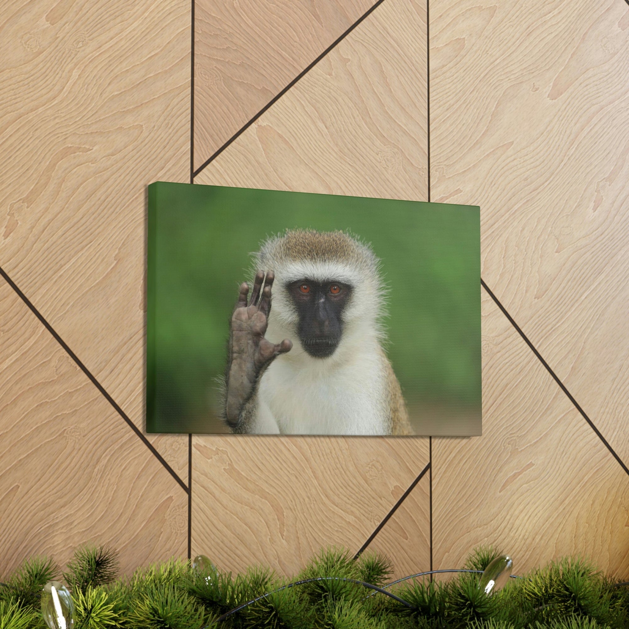 Funny Vervet Silly Vervet Scene Outside Wall Art Ready to Hang Unframed-Express Your Love Gifts