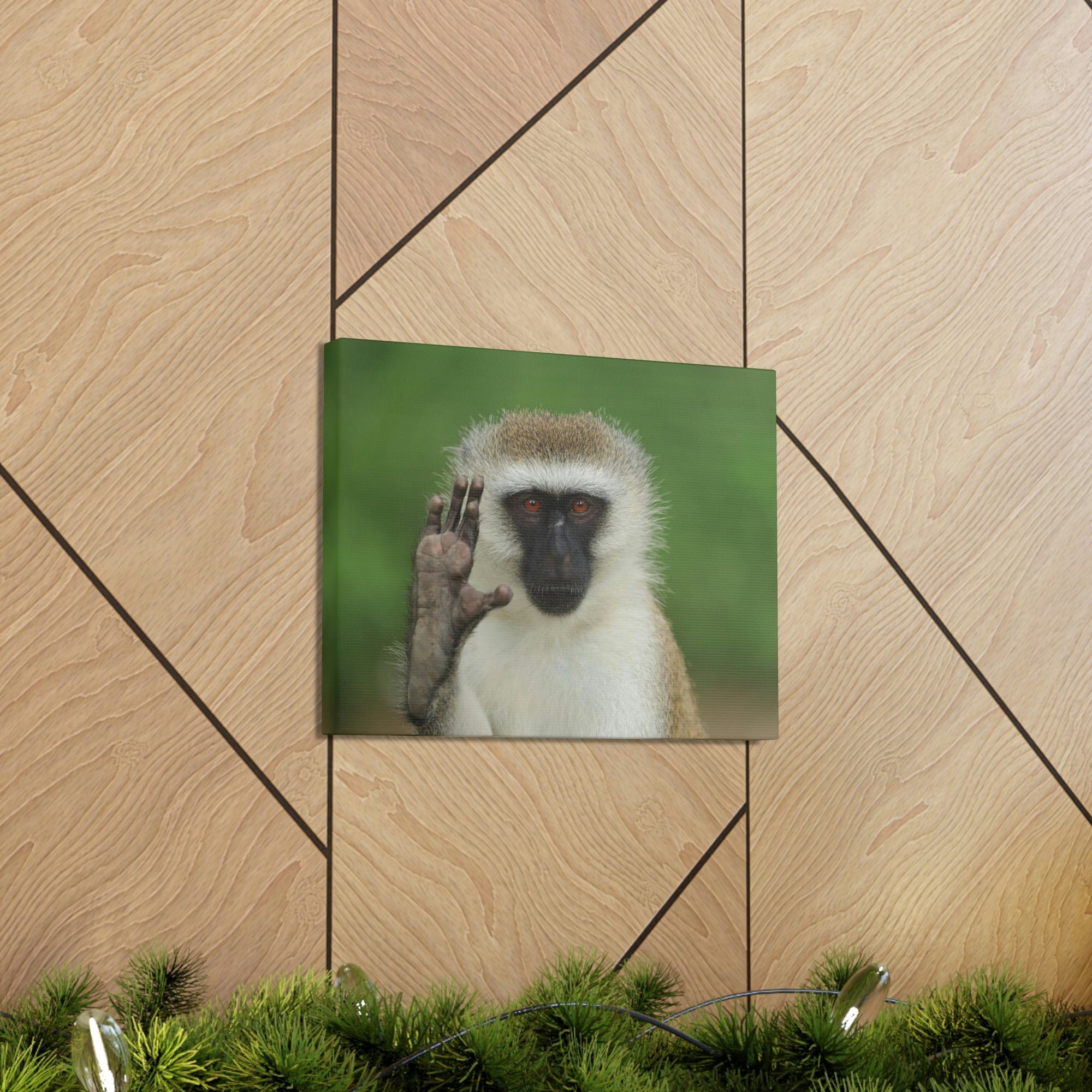 Funny Vervet Silly Vervet Scene Outside Wall Art Ready to Hang Unframed-Express Your Love Gifts