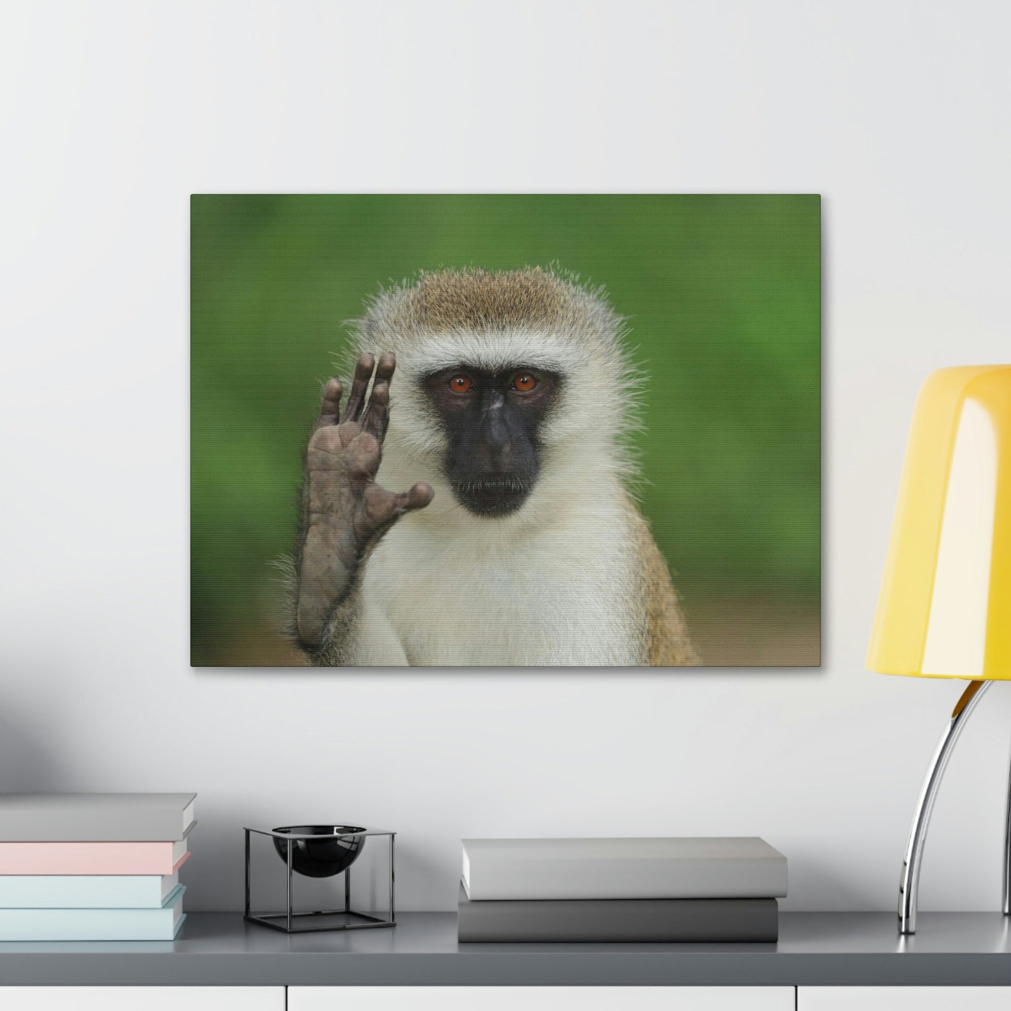 Funny Vervet Silly Vervet Scene Outside Wall Art Ready to Hang Unframed-Express Your Love Gifts