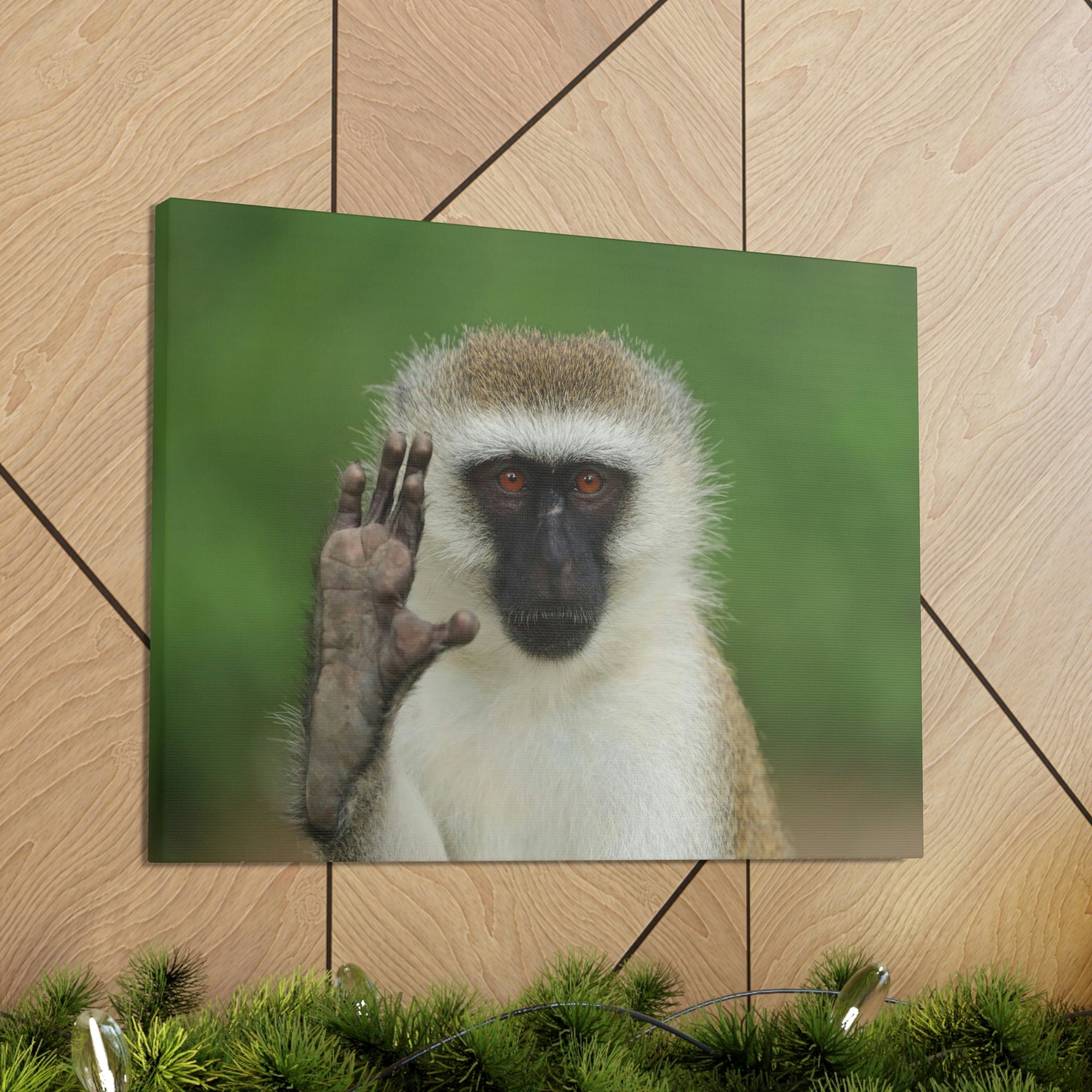 Funny Vervet Silly Vervet Scene Outside Wall Art Ready to Hang Unframed-Express Your Love Gifts