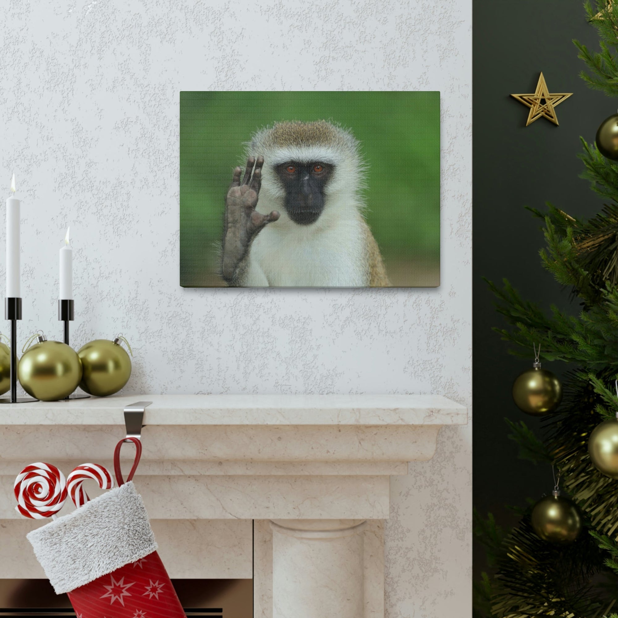 Funny Vervet Silly Vervet Scene Outside Wall Art Ready to Hang Unframed-Express Your Love Gifts