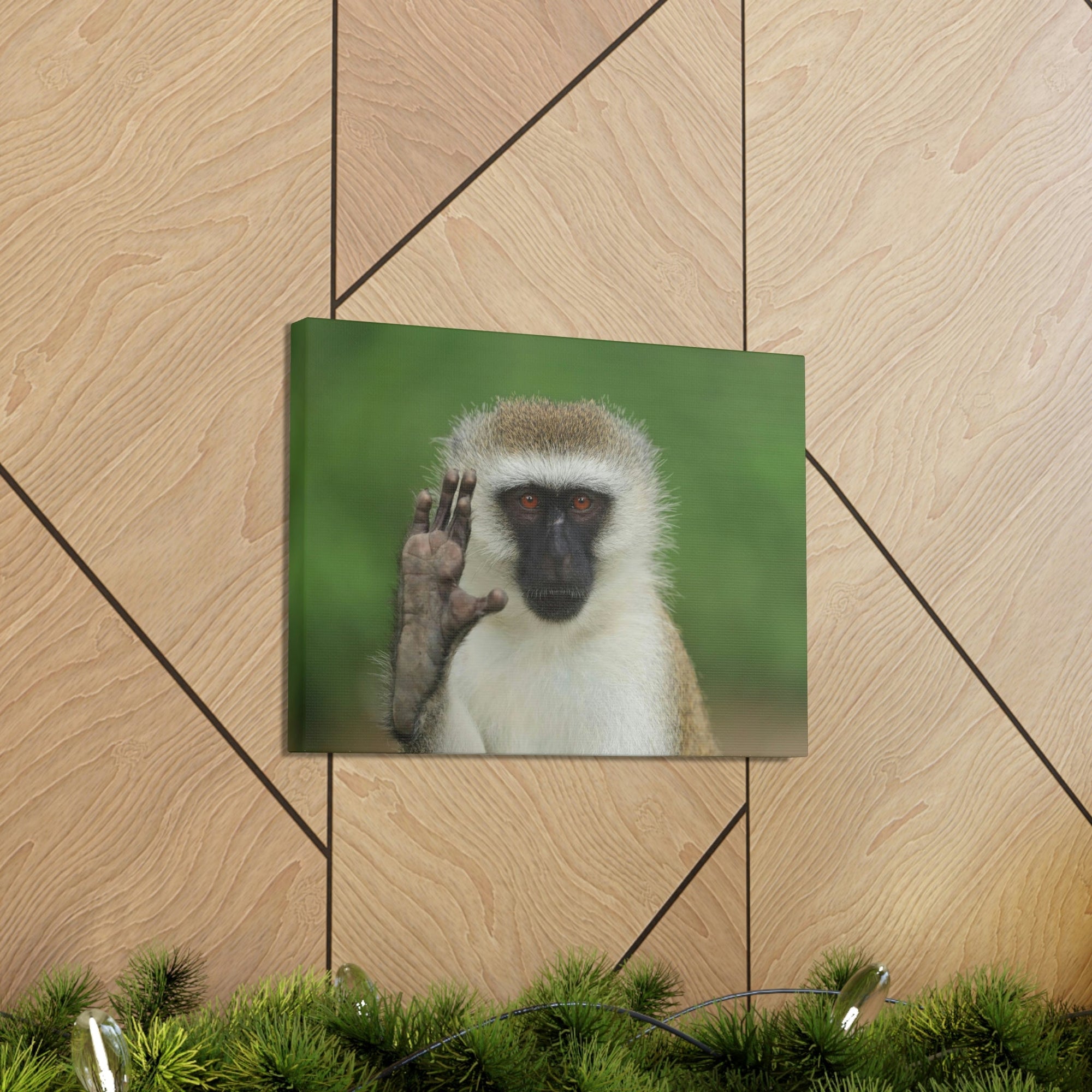 Funny Vervet Silly Vervet Scene Outside Wall Art Ready to Hang Unframed-Express Your Love Gifts