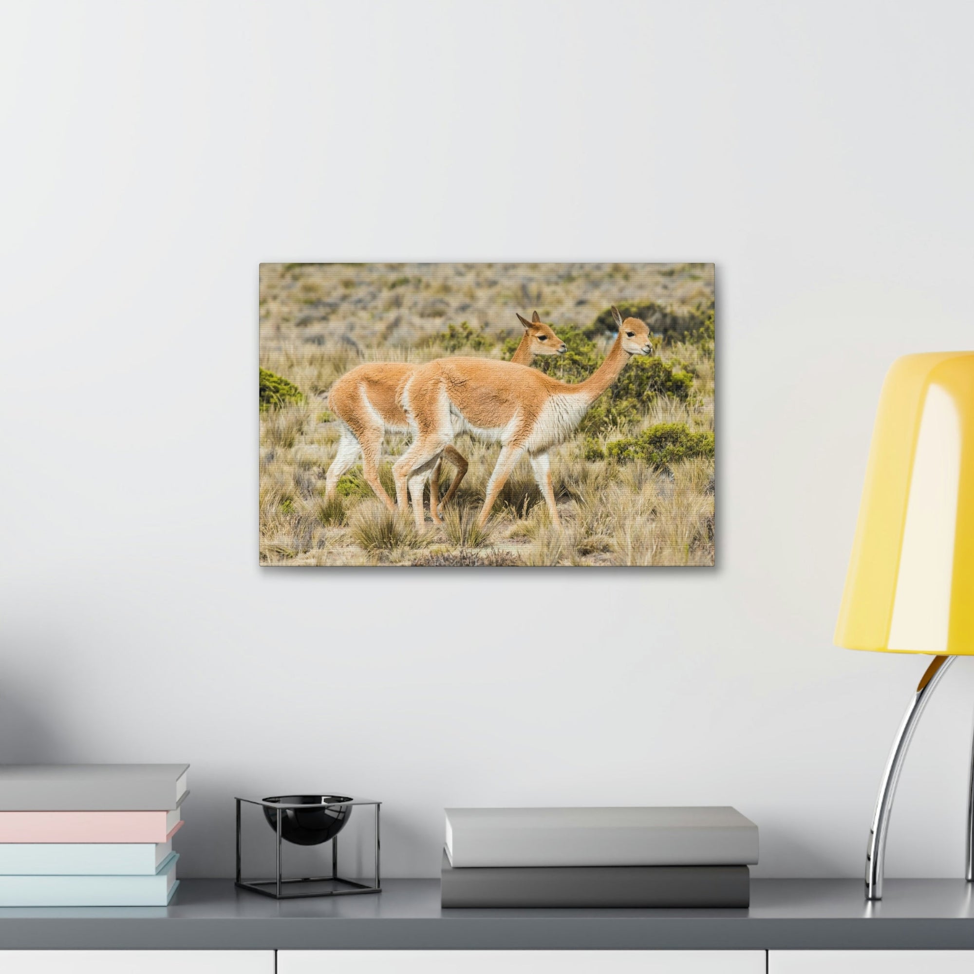 Funny Vicuna Silly Vicuna Scene Couple Wall Art Ready to Hang Unframed-Express Your Love Gifts