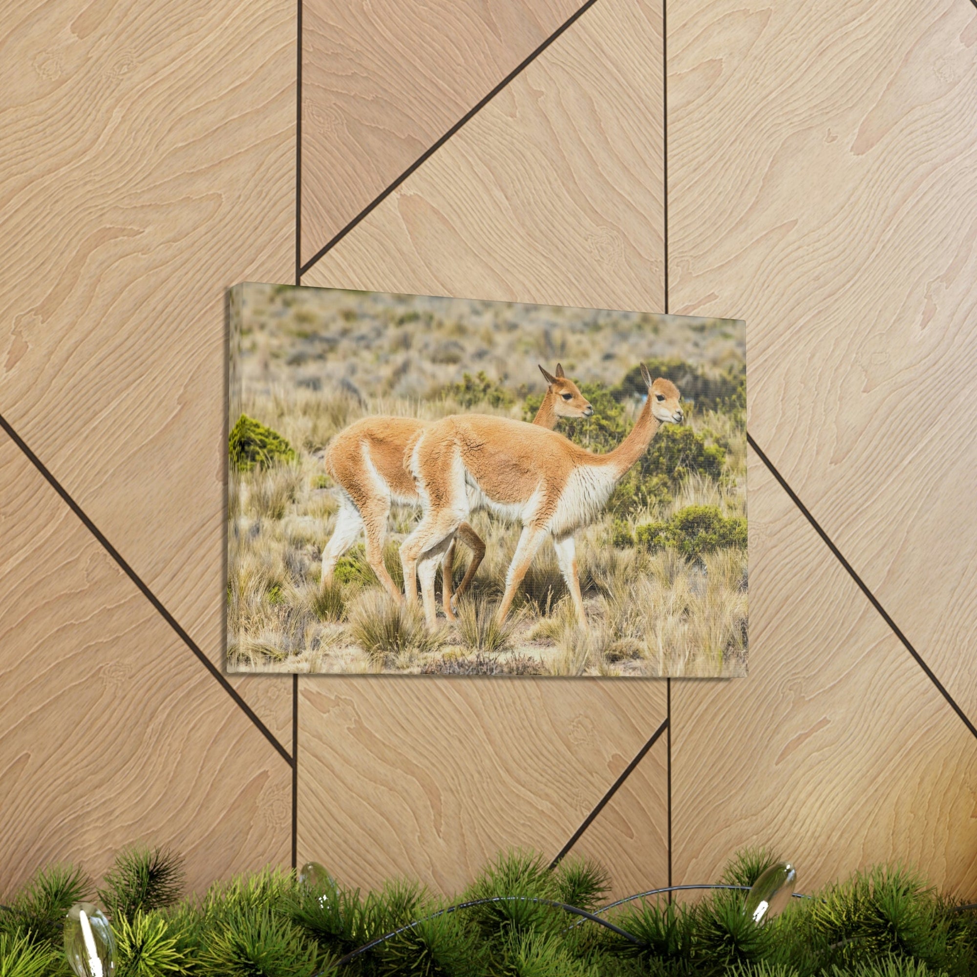 Funny Vicuna Silly Vicuna Scene Couple Wall Art Ready to Hang Unframed-Express Your Love Gifts