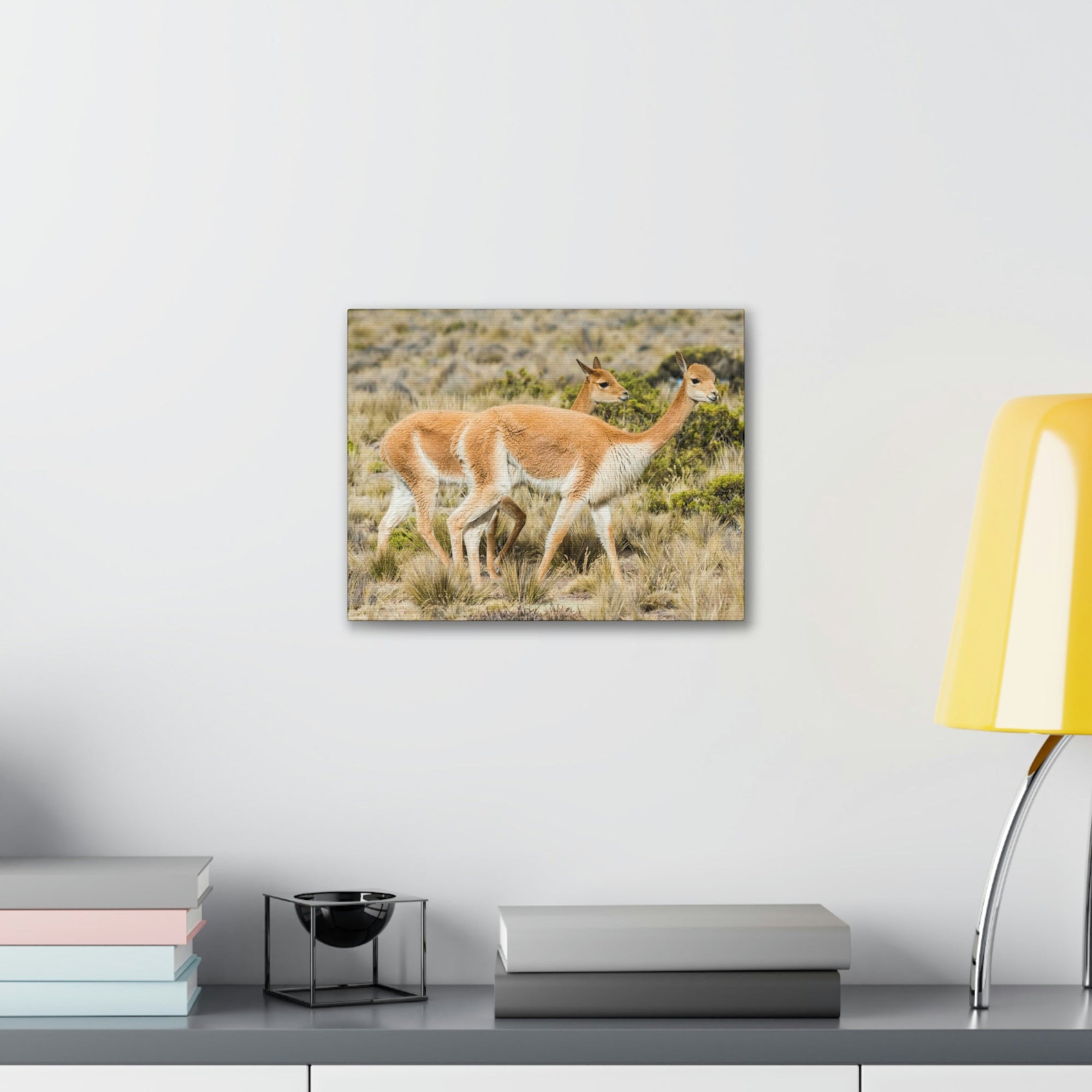 Funny Vicuna Silly Vicuna Scene Couple Wall Art Ready to Hang Unframed-Express Your Love Gifts