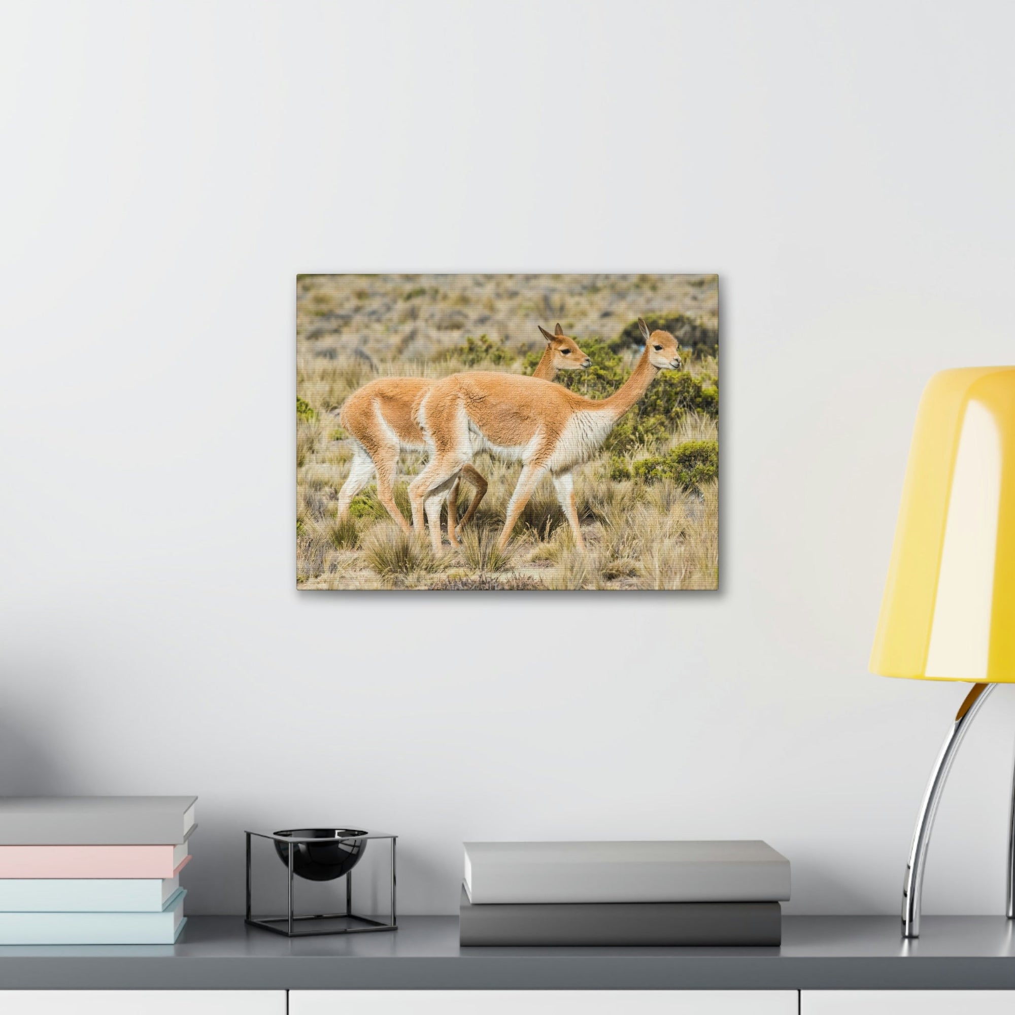 Funny Vicuna Silly Vicuna Scene Couple Wall Art Ready to Hang Unframed-Express Your Love Gifts