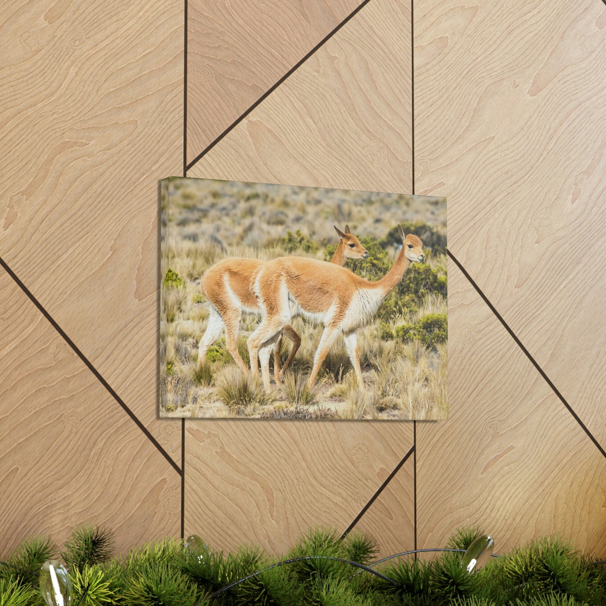 Funny Vicuna Silly Vicuna Scene Couple Wall Art Ready to Hang Unframed-Express Your Love Gifts