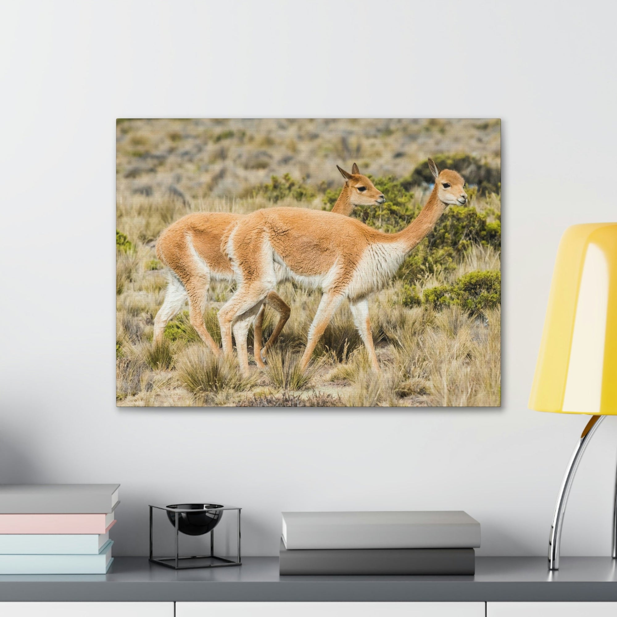 Funny Vicuna Silly Vicuna Scene Couple Wall Art Ready to Hang Unframed-Express Your Love Gifts