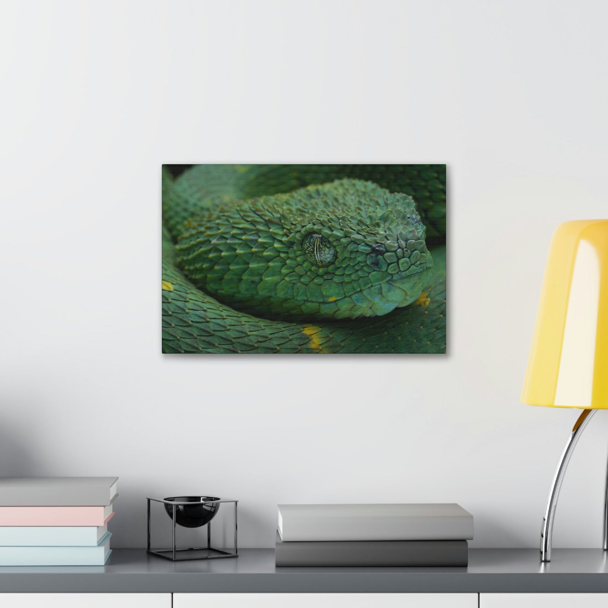 Funny Viper Silly Viper Scene Inside Wall Art Ready to Hang Unframed-Express Your Love Gifts