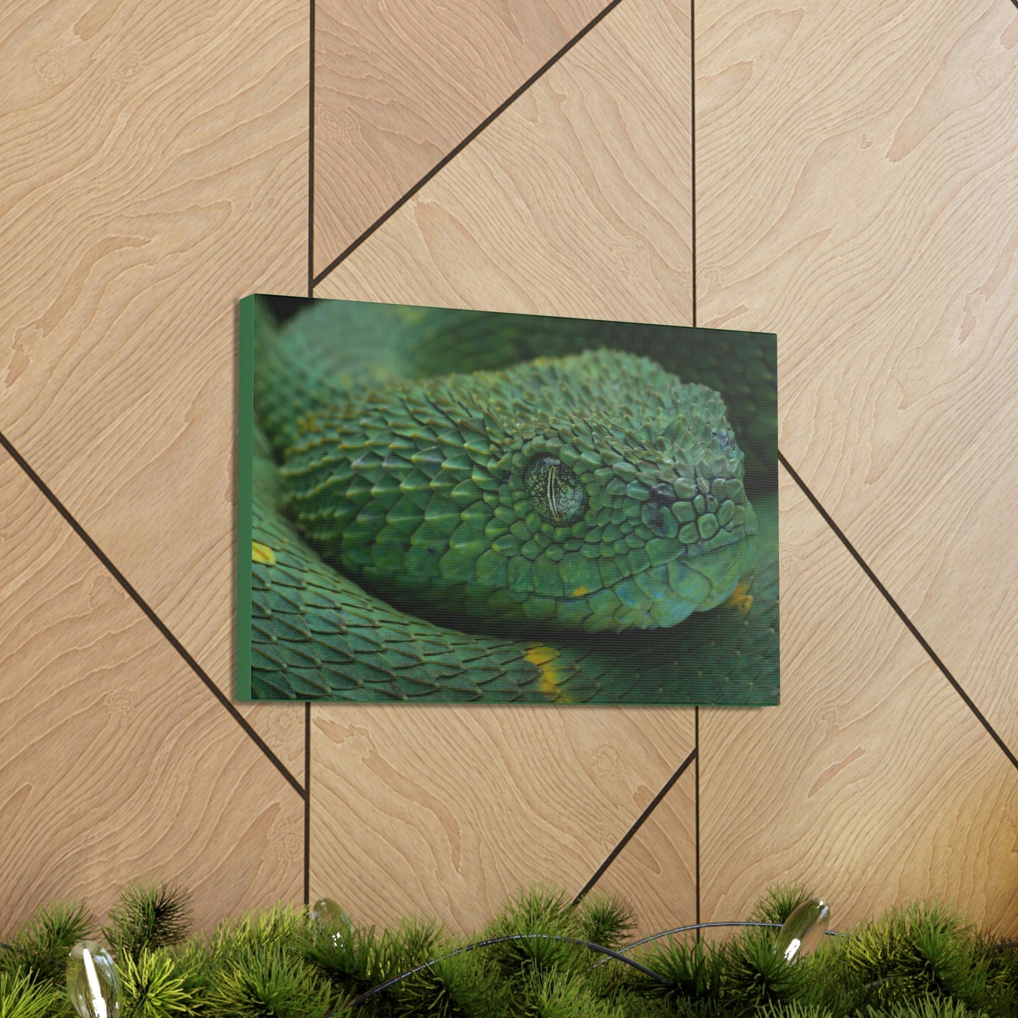 Funny Viper Silly Viper Scene Inside Wall Art Ready to Hang Unframed-Express Your Love Gifts