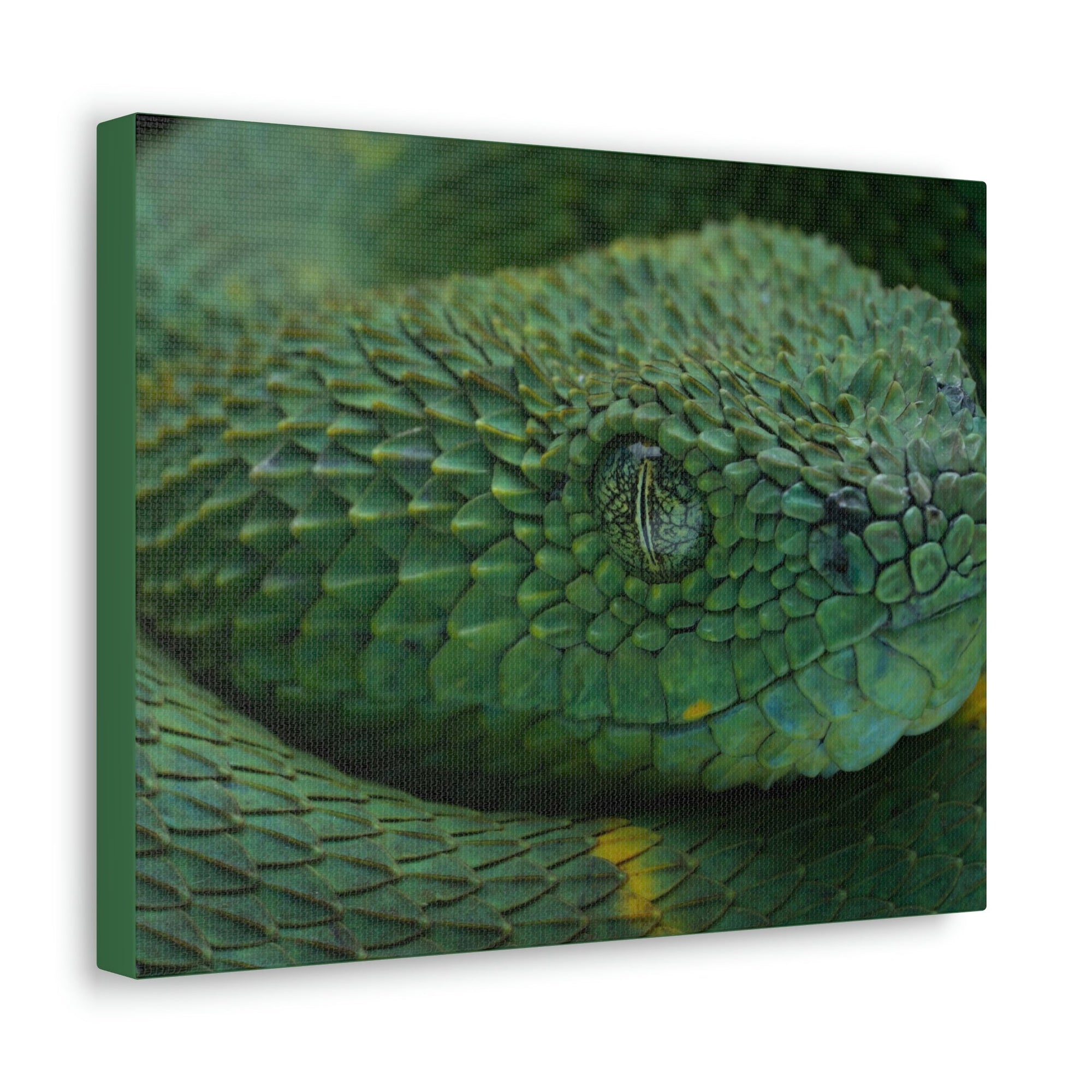 Funny Viper Silly Viper Scene Inside Wall Art Ready to Hang Unframed-Express Your Love Gifts