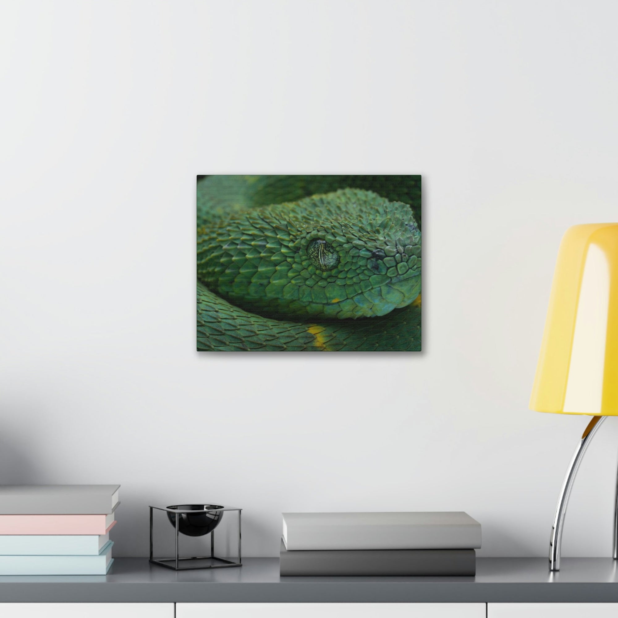 Funny Viper Silly Viper Scene Inside Wall Art Ready to Hang Unframed-Express Your Love Gifts