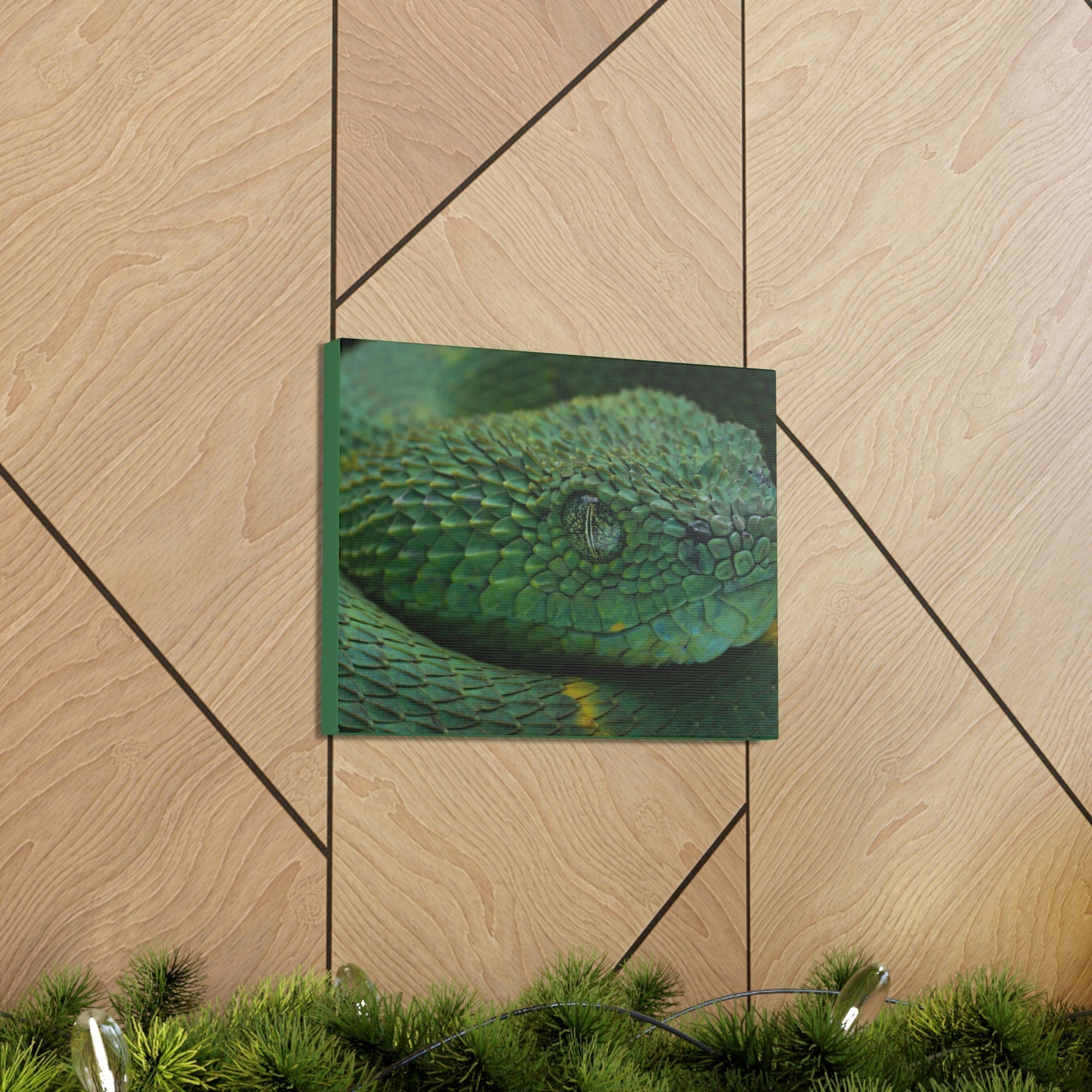 Funny Viper Silly Viper Scene Inside Wall Art Ready to Hang Unframed-Express Your Love Gifts