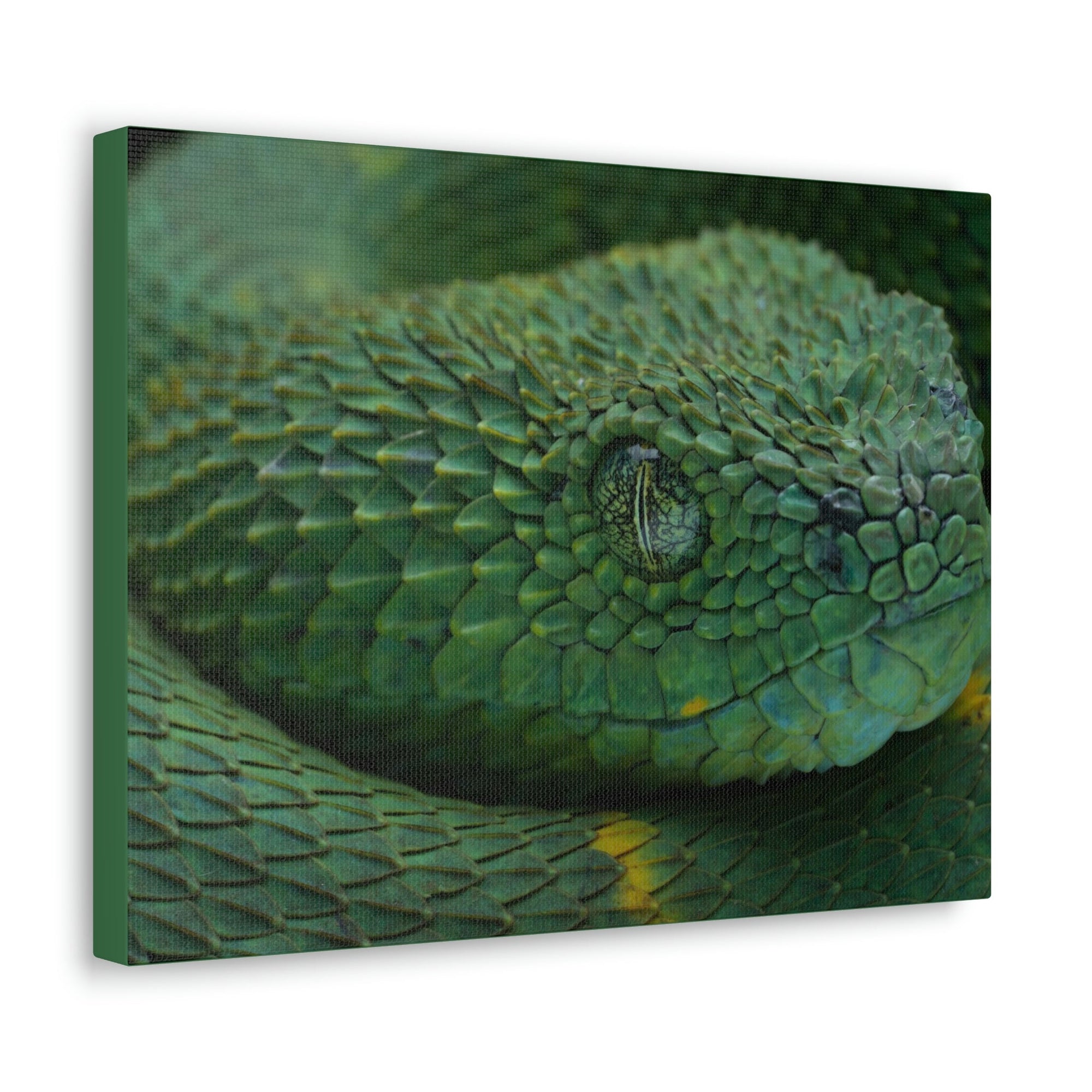 Funny Viper Silly Viper Scene Inside Wall Art Ready to Hang Unframed-Express Your Love Gifts