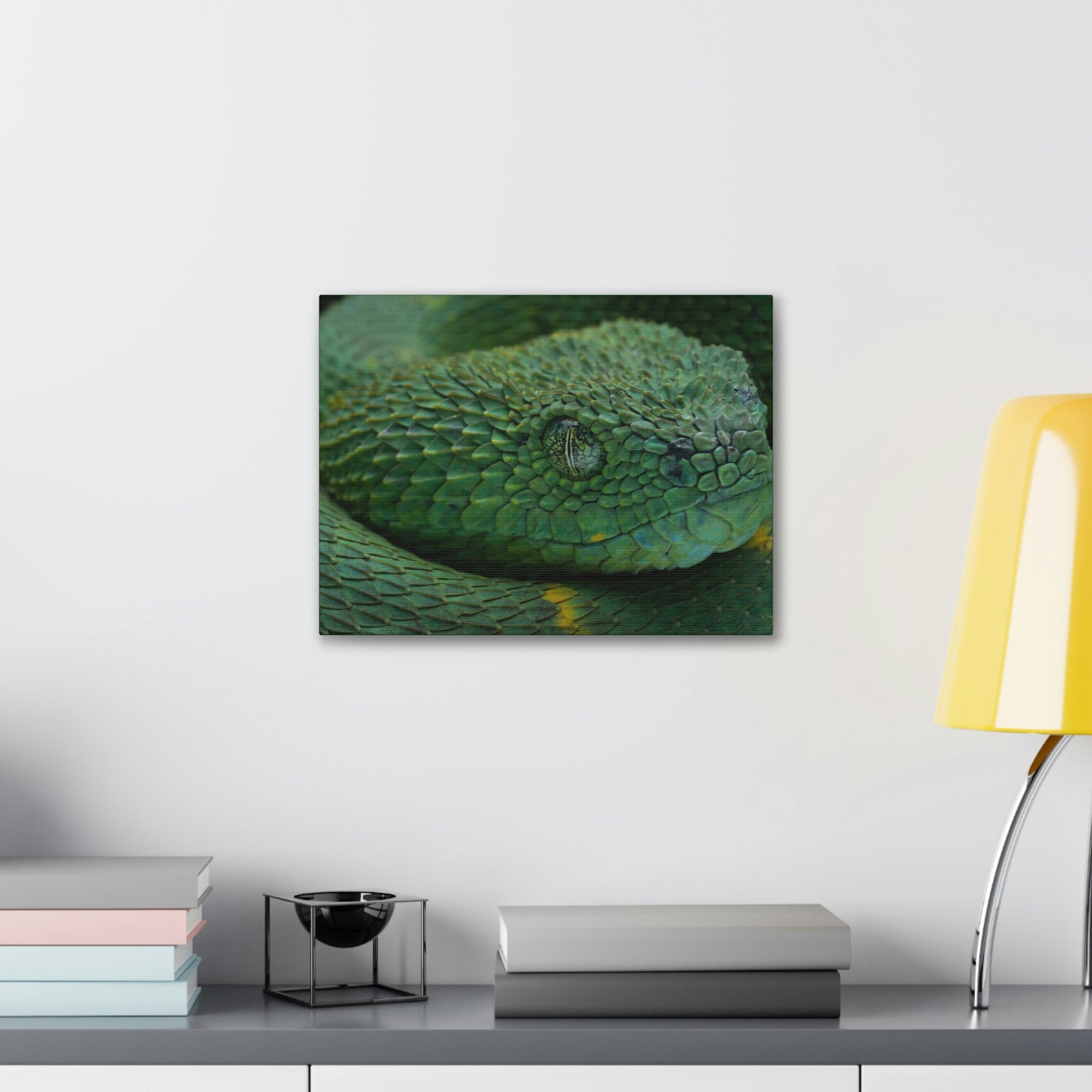 Funny Viper Silly Viper Scene Inside Wall Art Ready to Hang Unframed-Express Your Love Gifts