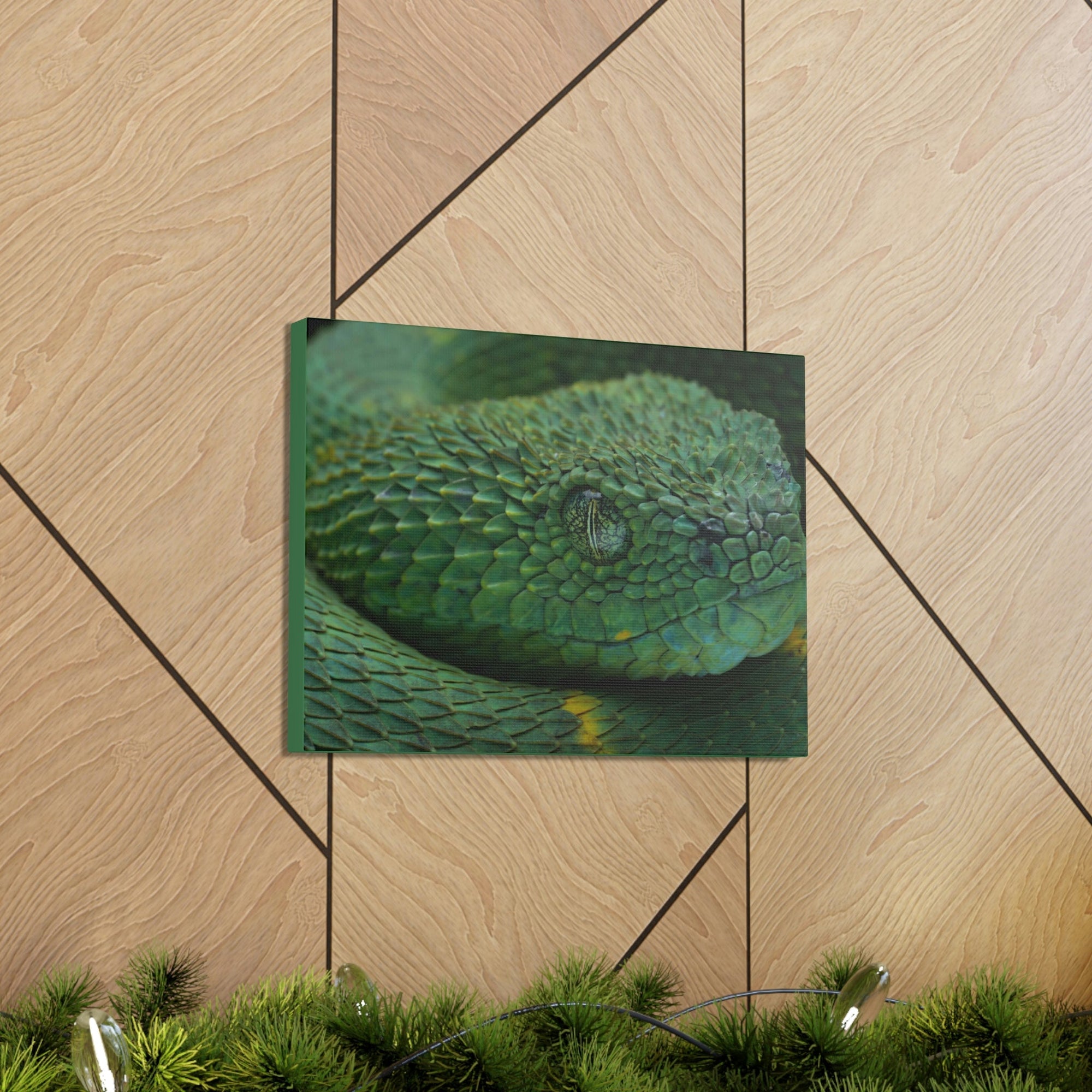 Funny Viper Silly Viper Scene Inside Wall Art Ready to Hang Unframed-Express Your Love Gifts