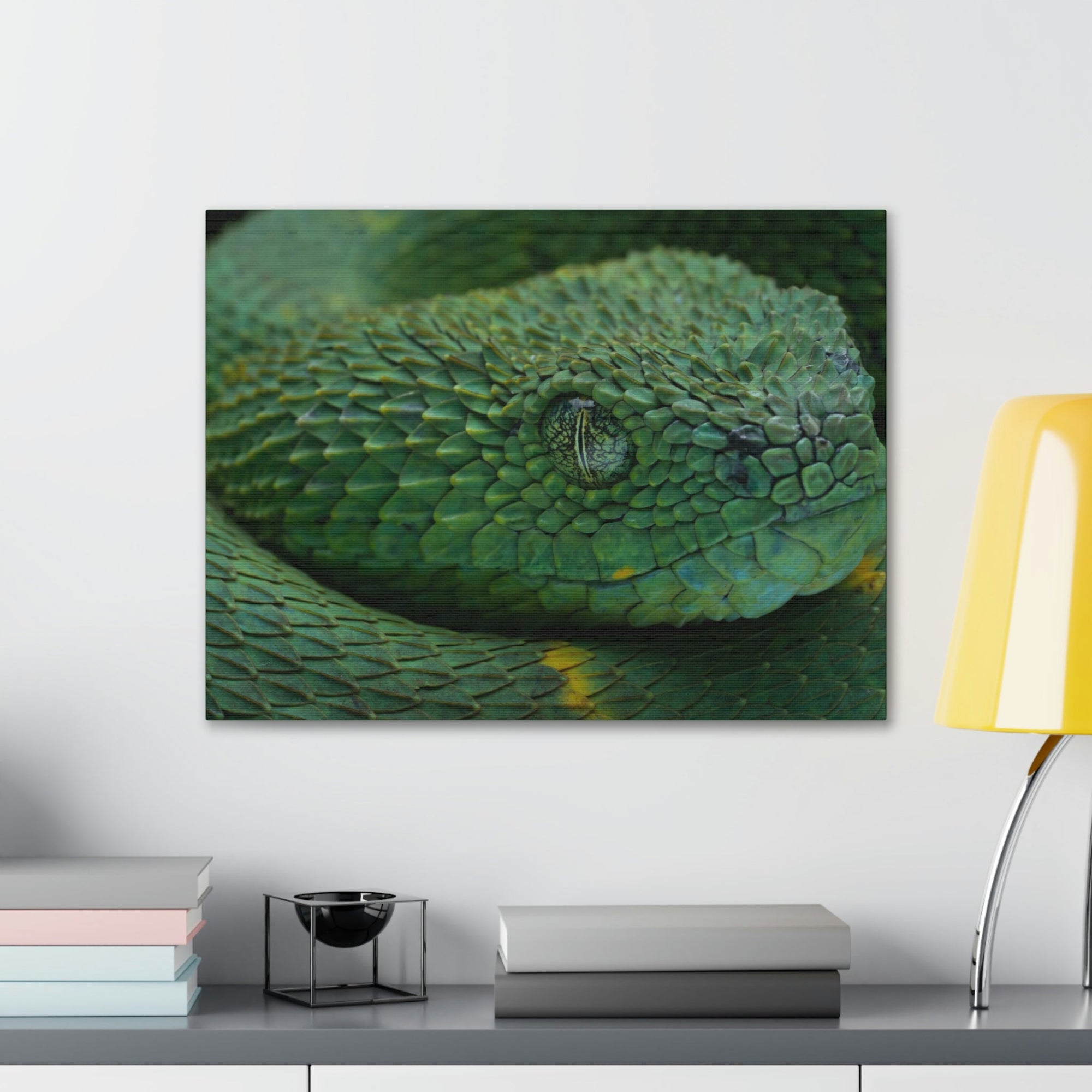 Funny Viper Silly Viper Scene Inside Wall Art Ready to Hang Unframed-Express Your Love Gifts