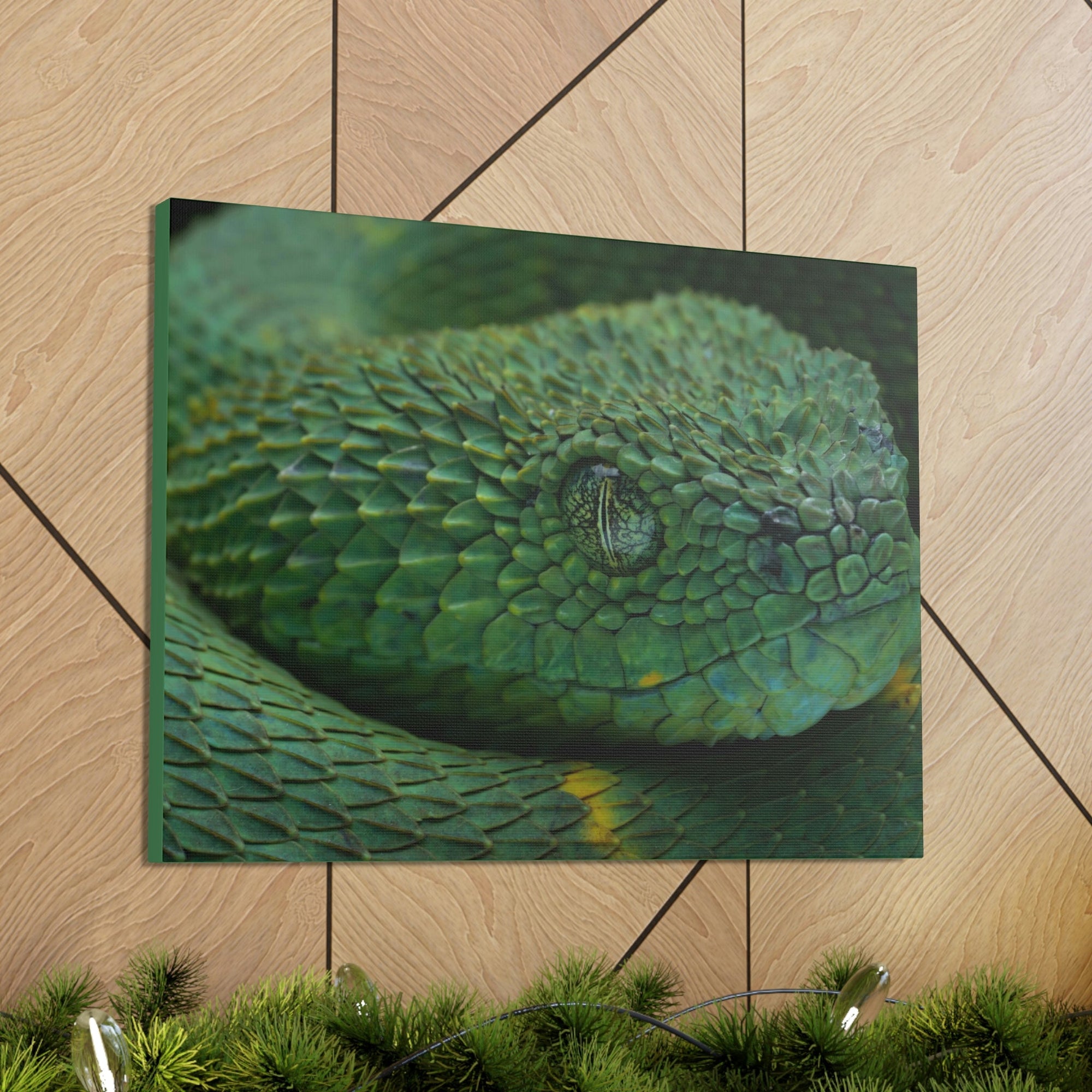 Funny Viper Silly Viper Scene Inside Wall Art Ready to Hang Unframed-Express Your Love Gifts