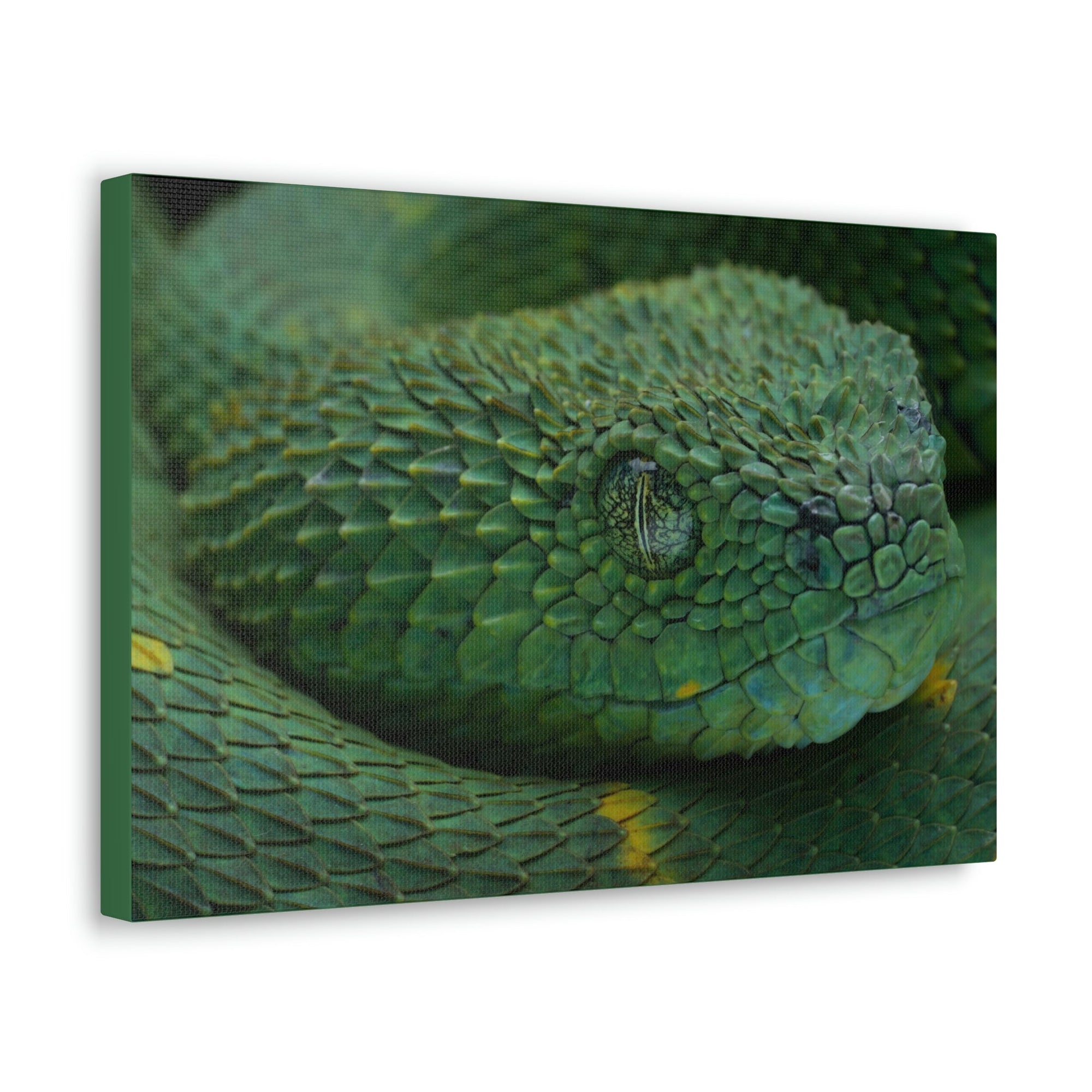 Funny Viper Silly Viper Scene Inside Wall Art Ready to Hang Unframed-Express Your Love Gifts