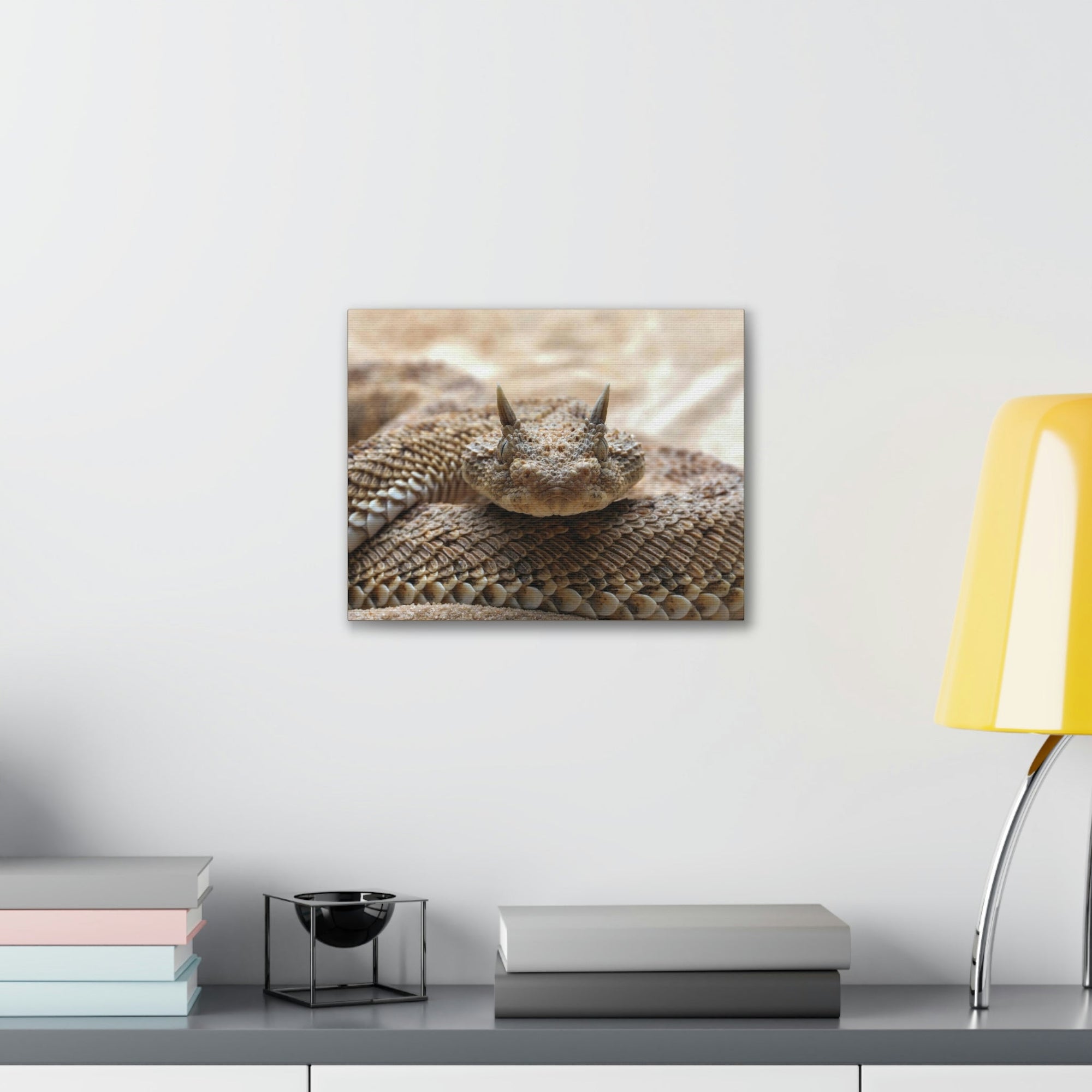 Funny Viper Silly Viper Scene Outside Wall Art Ready to Hang Unframed-Express Your Love Gifts