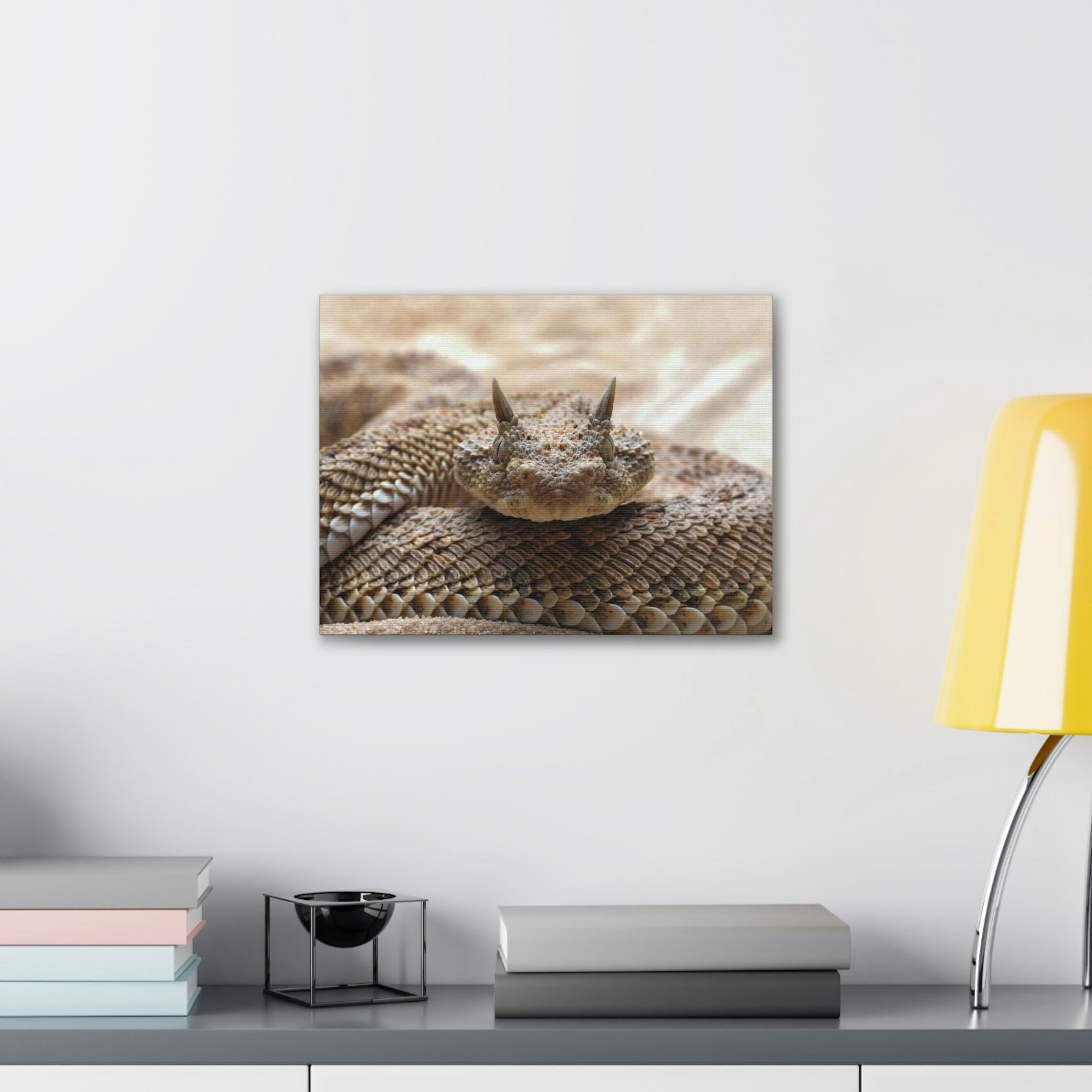 Funny Viper Silly Viper Scene Outside Wall Art Ready to Hang Unframed-Express Your Love Gifts