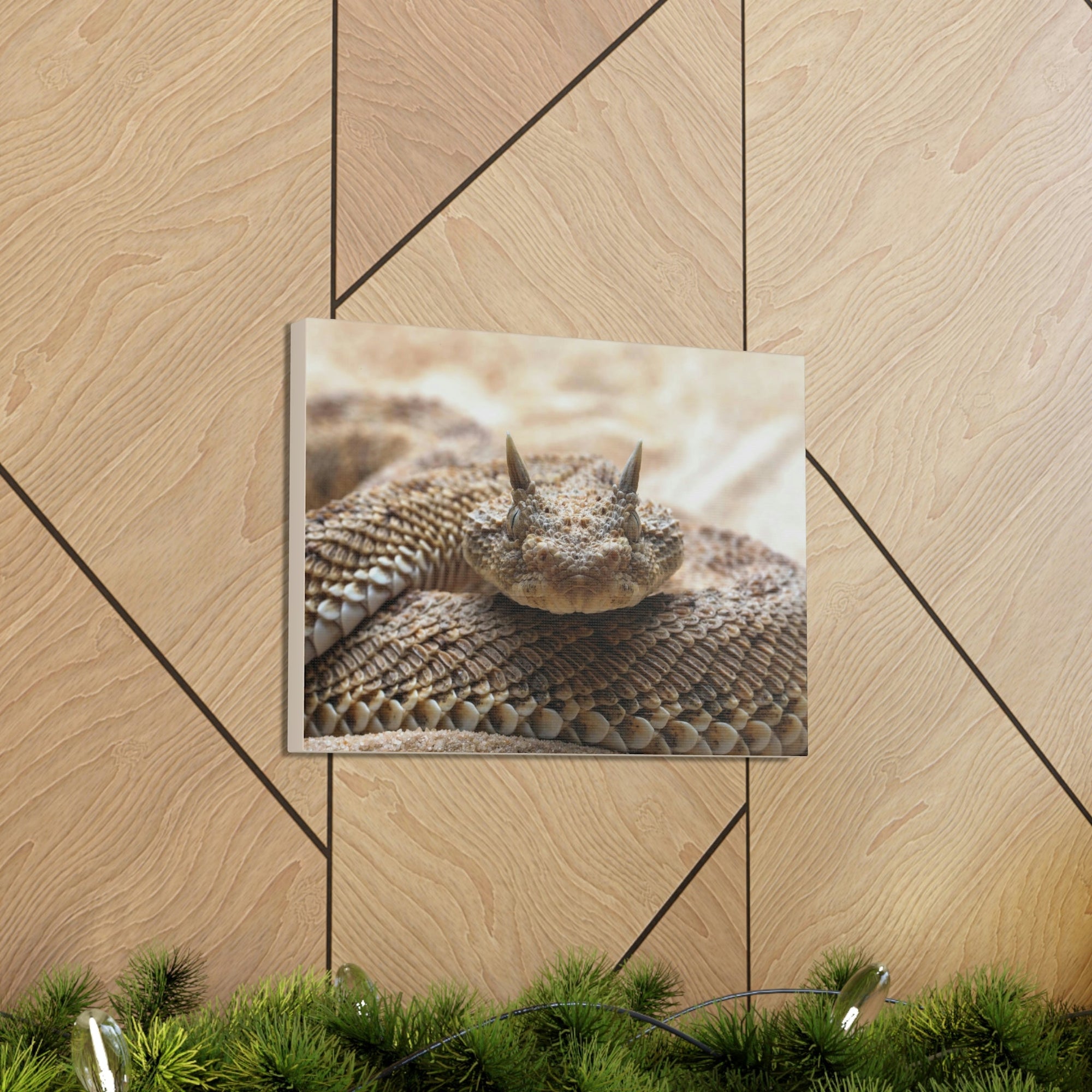 Funny Viper Silly Viper Scene Outside Wall Art Ready to Hang Unframed-Express Your Love Gifts