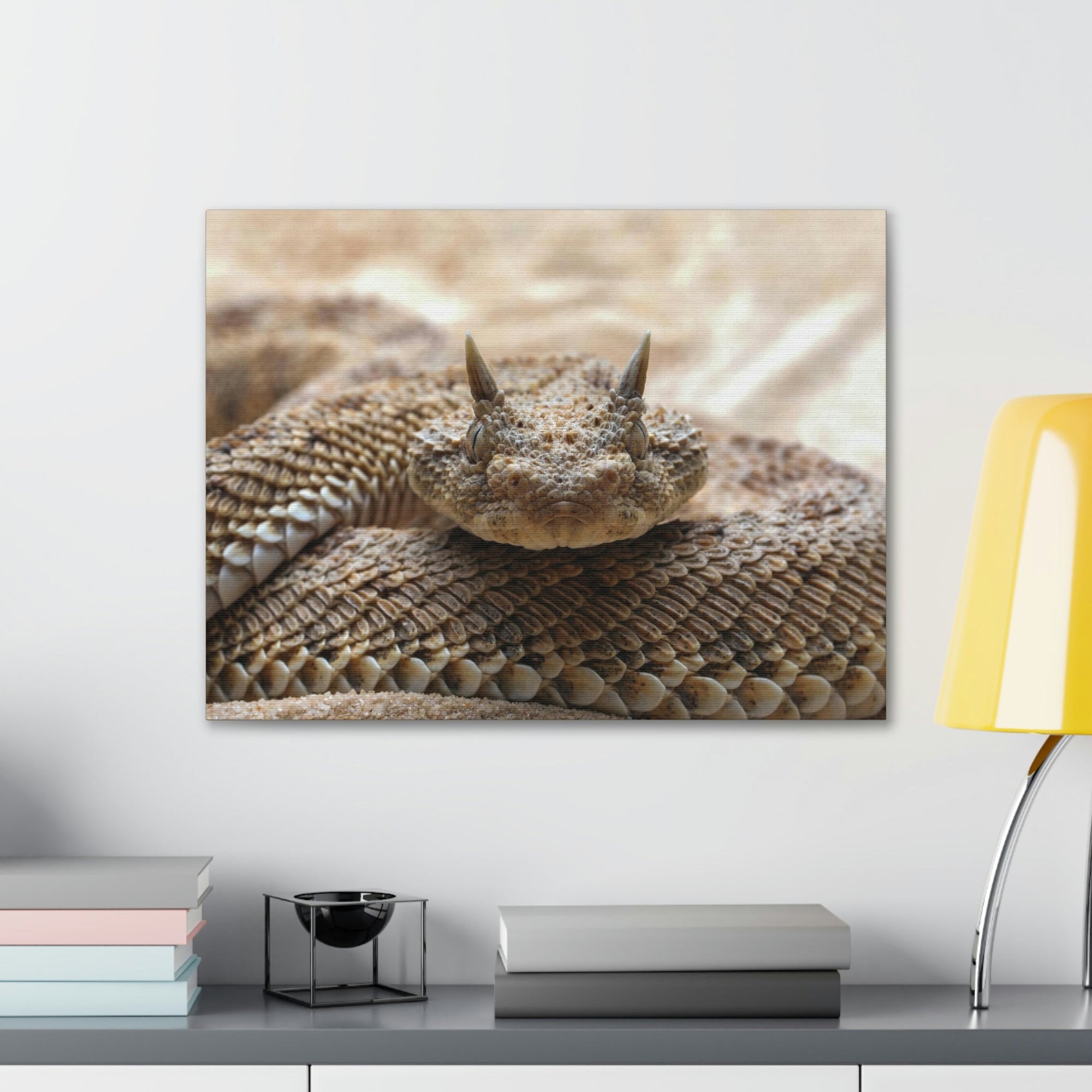 Funny Viper Silly Viper Scene Outside Wall Art Ready to Hang Unframed-Express Your Love Gifts