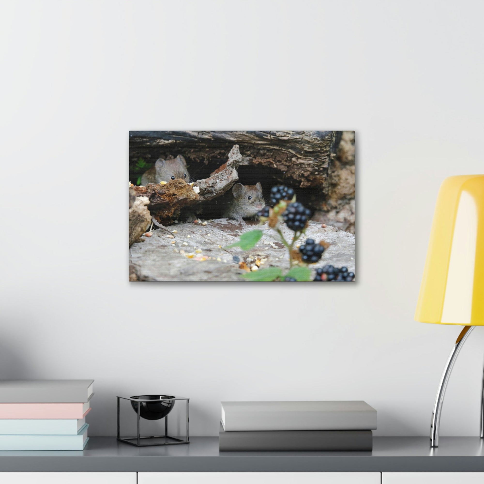 Funny Vole Silly Vole Scene Couple Wall Art Ready to Hang Unframed-Express Your Love Gifts