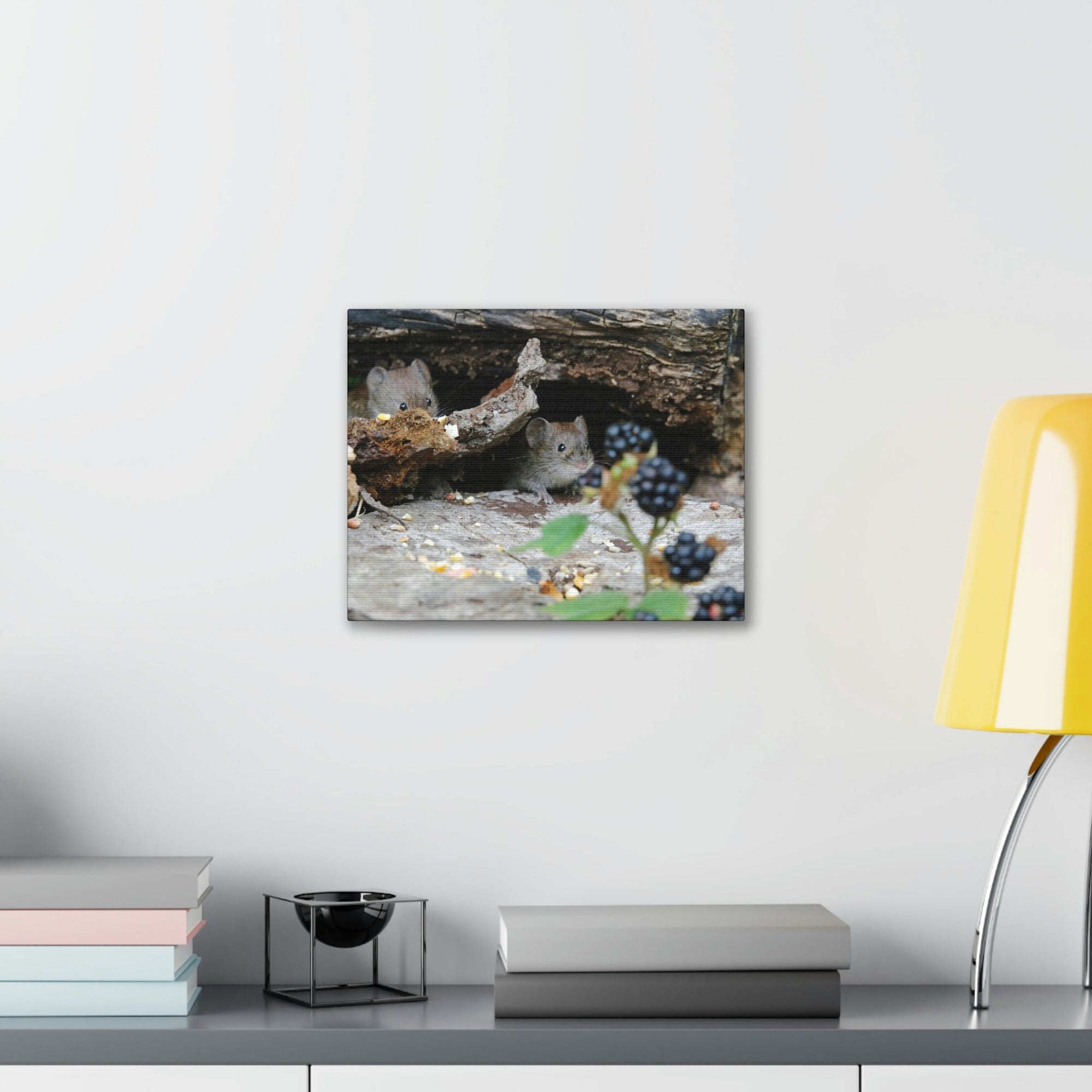 Funny Vole Silly Vole Scene Couple Wall Art Ready to Hang Unframed-Express Your Love Gifts