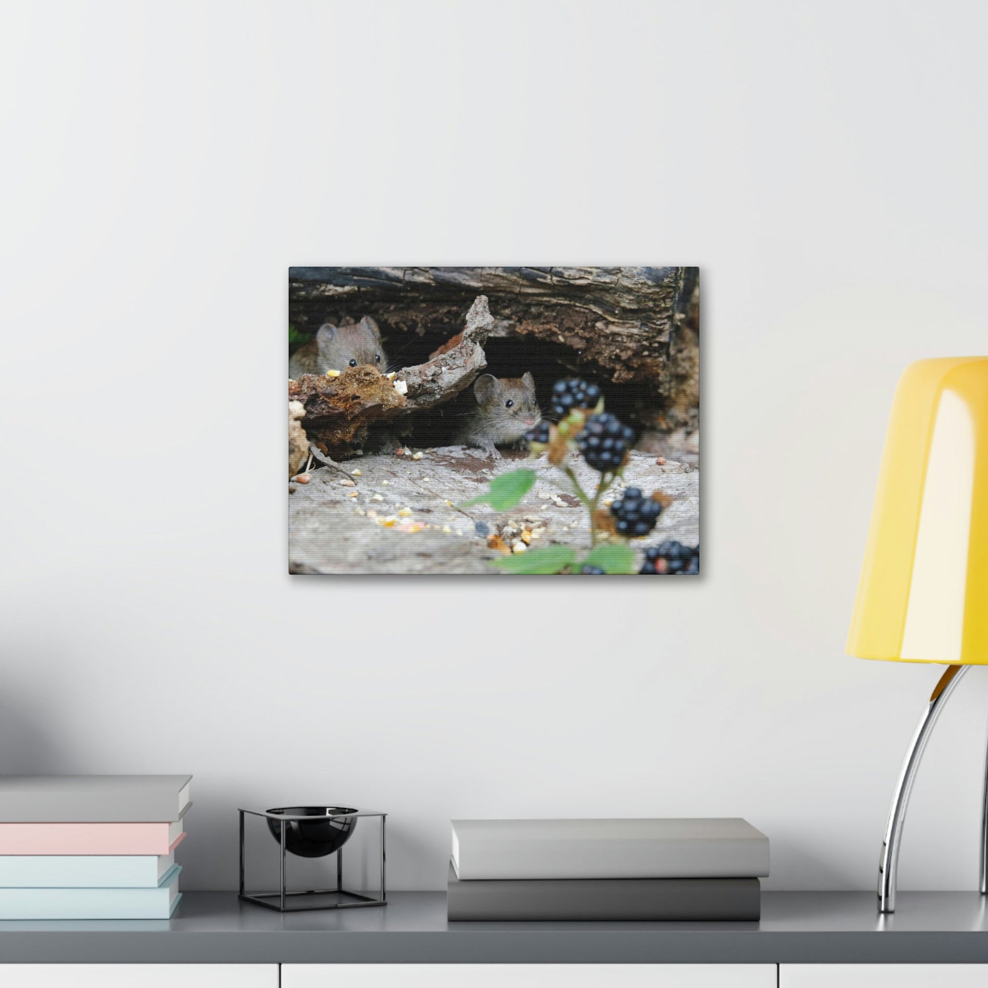 Funny Vole Silly Vole Scene Couple Wall Art Ready to Hang Unframed-Express Your Love Gifts