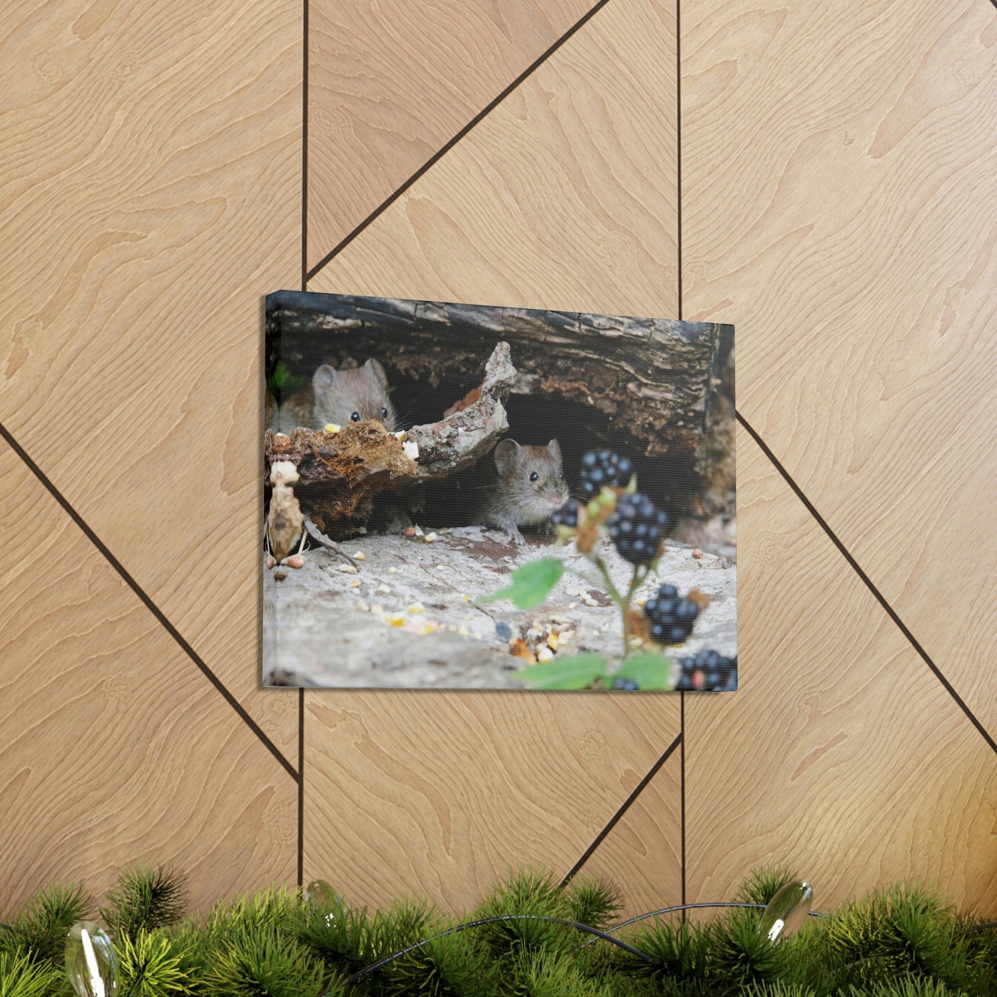 Funny Vole Silly Vole Scene Couple Wall Art Ready to Hang Unframed-Express Your Love Gifts