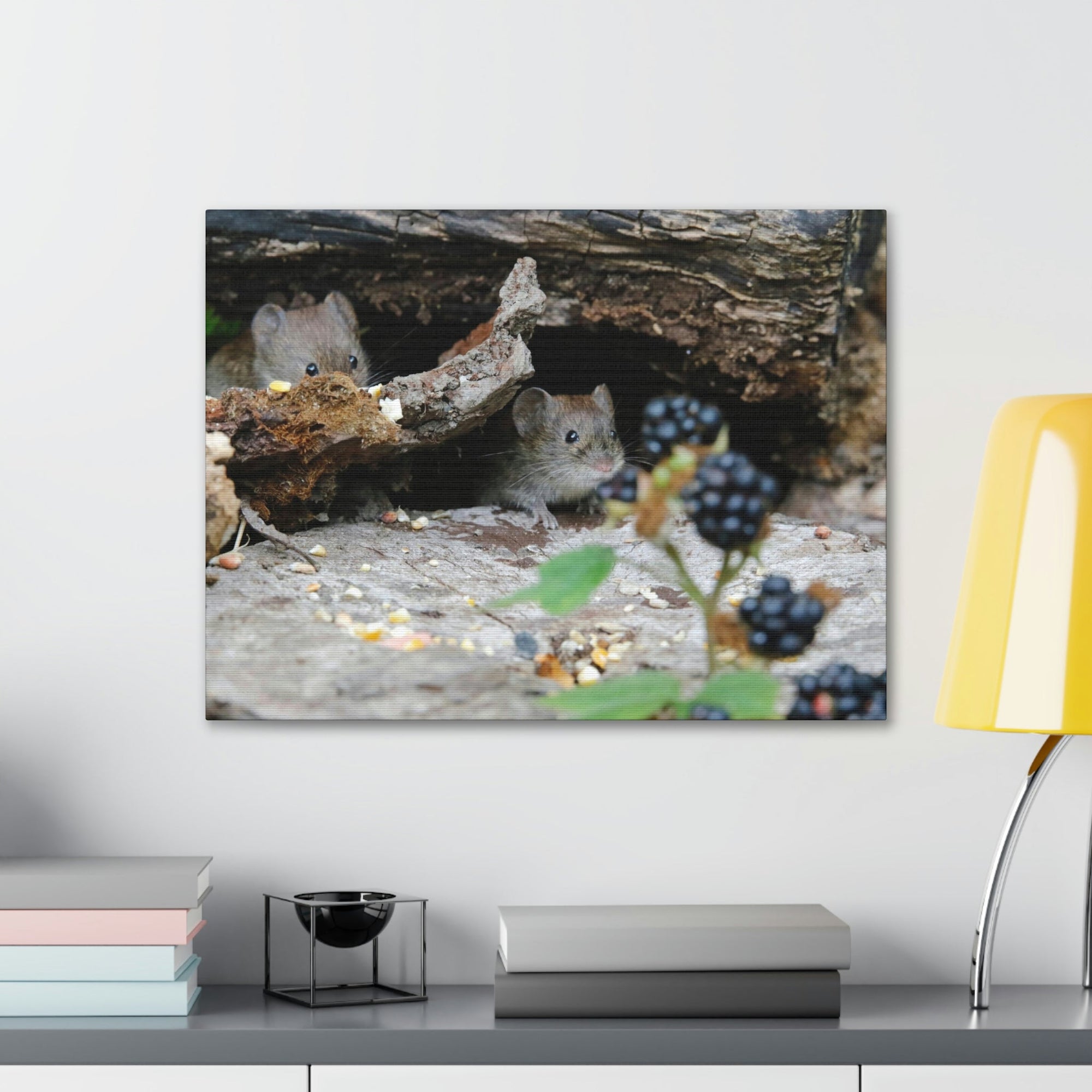 Funny Vole Silly Vole Scene Couple Wall Art Ready to Hang Unframed-Express Your Love Gifts