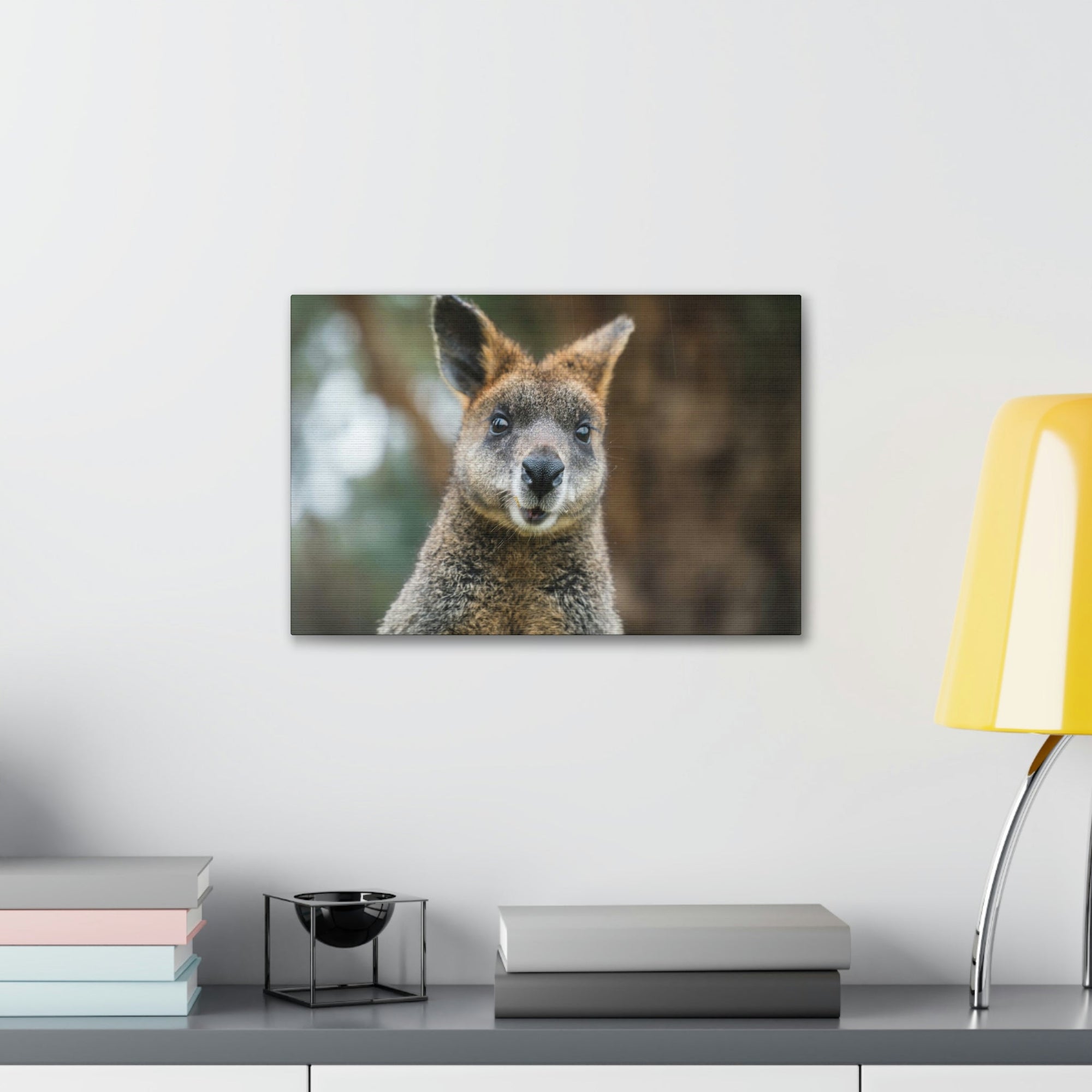 Funny Wallaby Silly Wallaby Scene Outside Wall Art Ready to Hang Unframed-Express Your Love Gifts