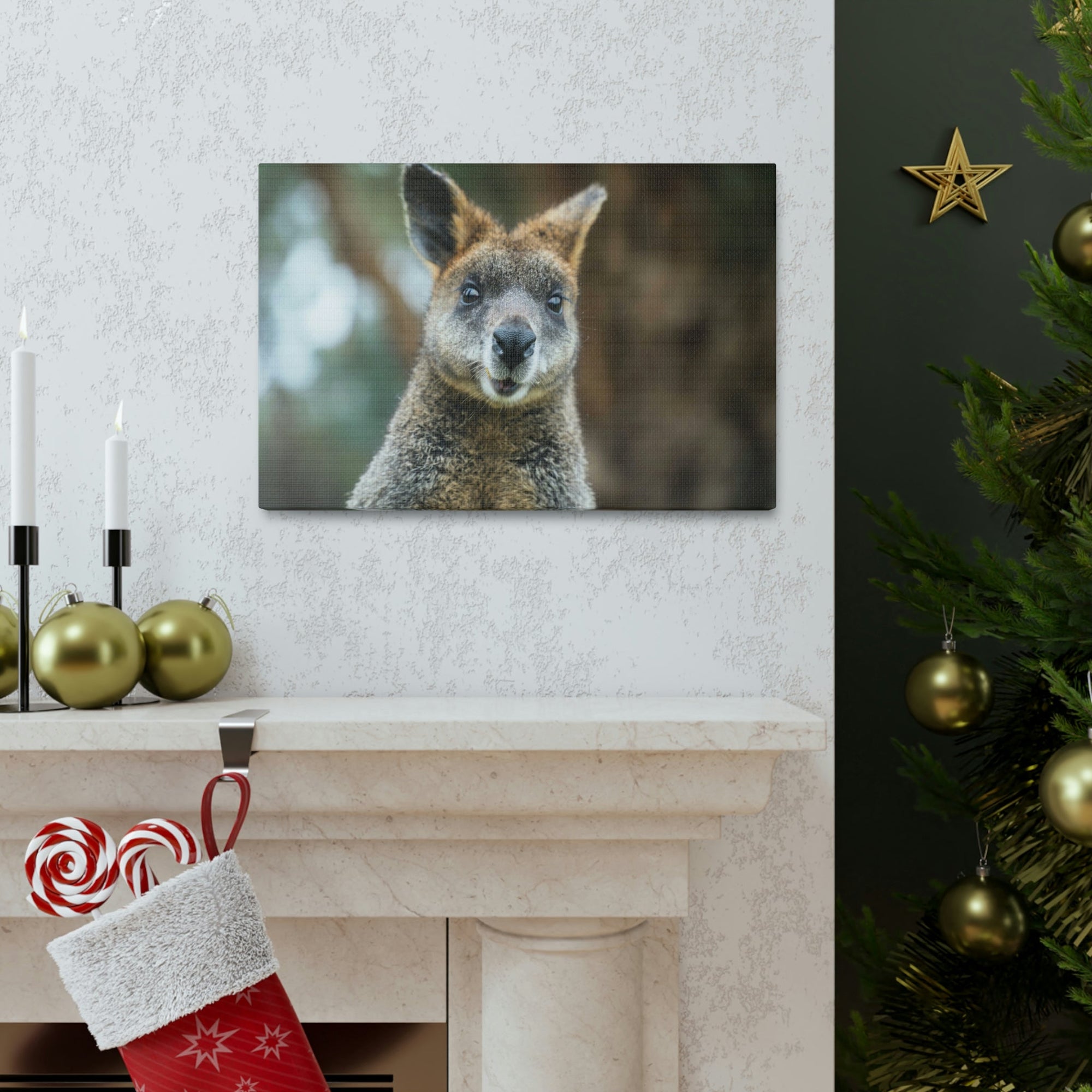 Funny Wallaby Silly Wallaby Scene Outside Wall Art Ready to Hang Unframed-Express Your Love Gifts