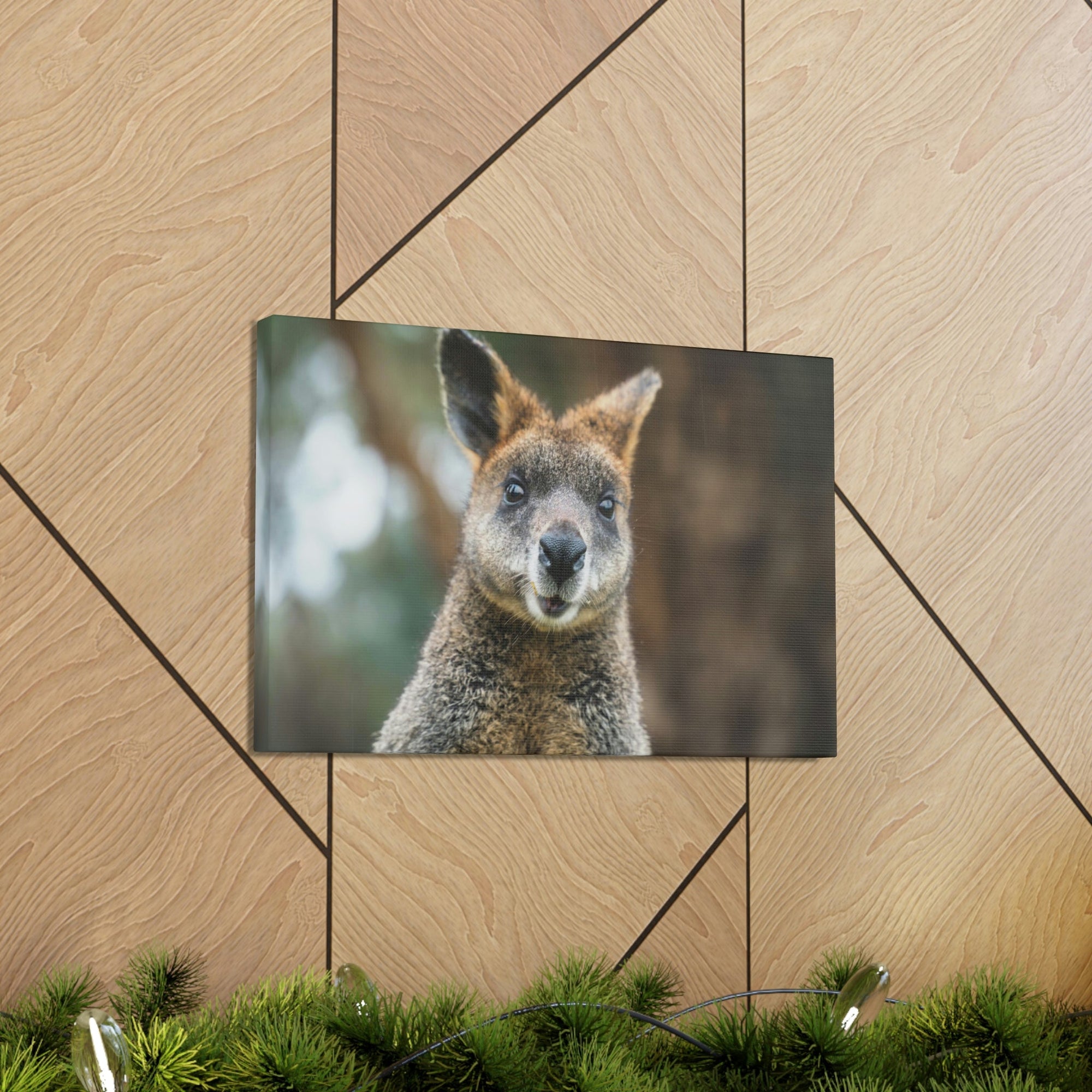 Funny Wallaby Silly Wallaby Scene Outside Wall Art Ready to Hang Unframed-Express Your Love Gifts