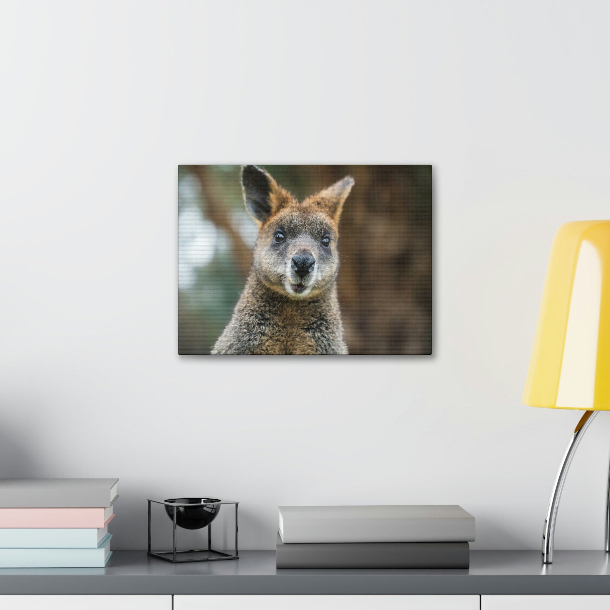 Funny Wallaby Silly Wallaby Scene Outside Wall Art Ready to Hang Unframed-Express Your Love Gifts