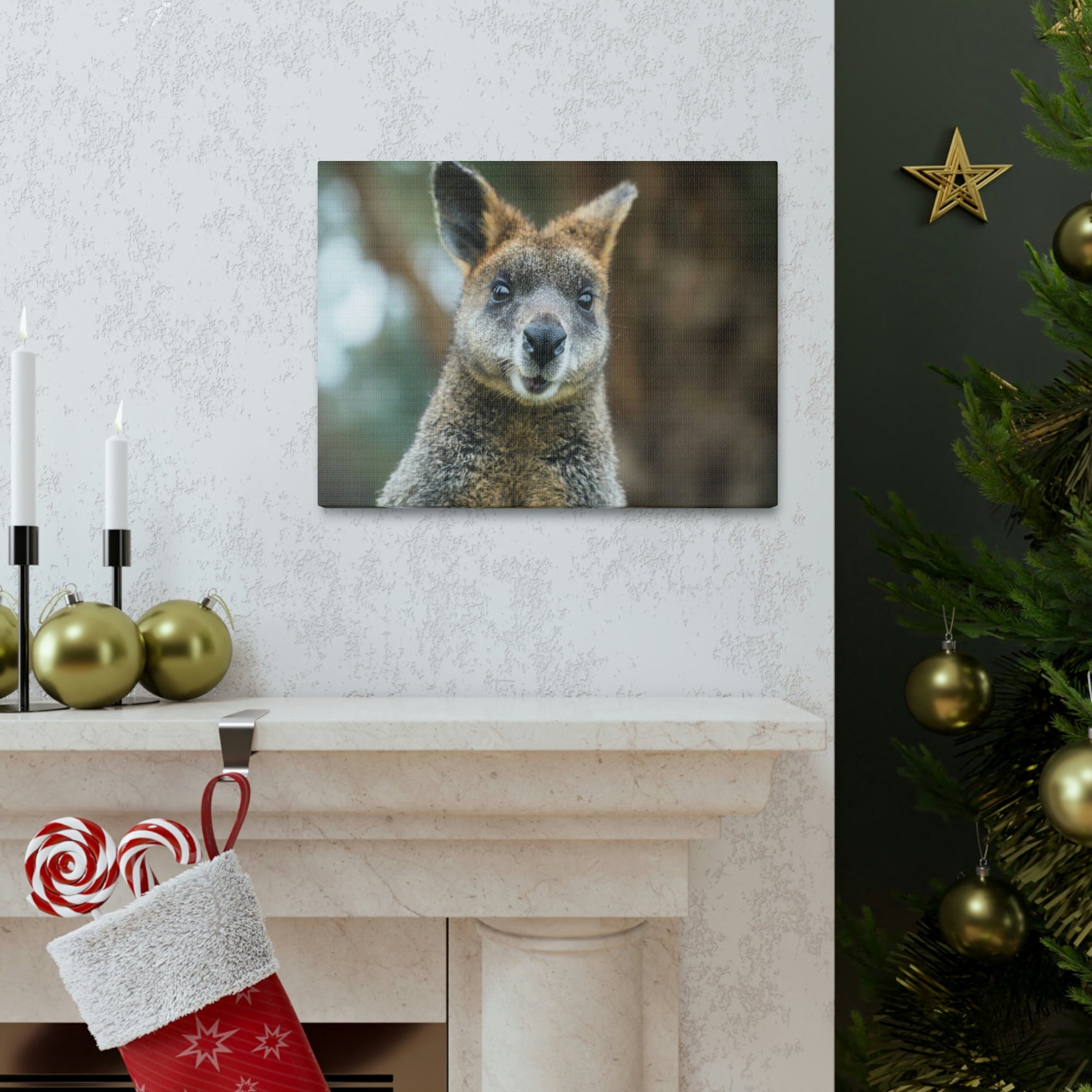 Funny Wallaby Silly Wallaby Scene Outside Wall Art Ready to Hang Unframed-Express Your Love Gifts