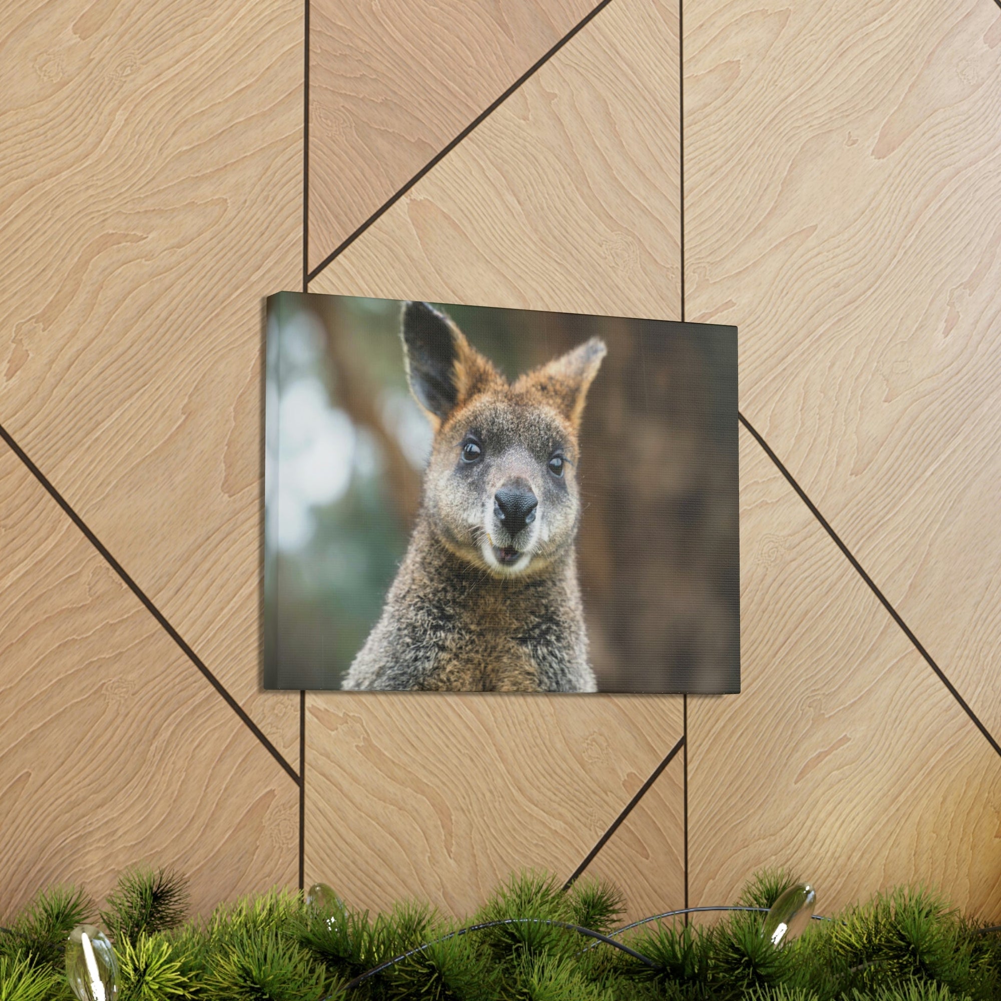 Funny Wallaby Silly Wallaby Scene Outside Wall Art Ready to Hang Unframed-Express Your Love Gifts