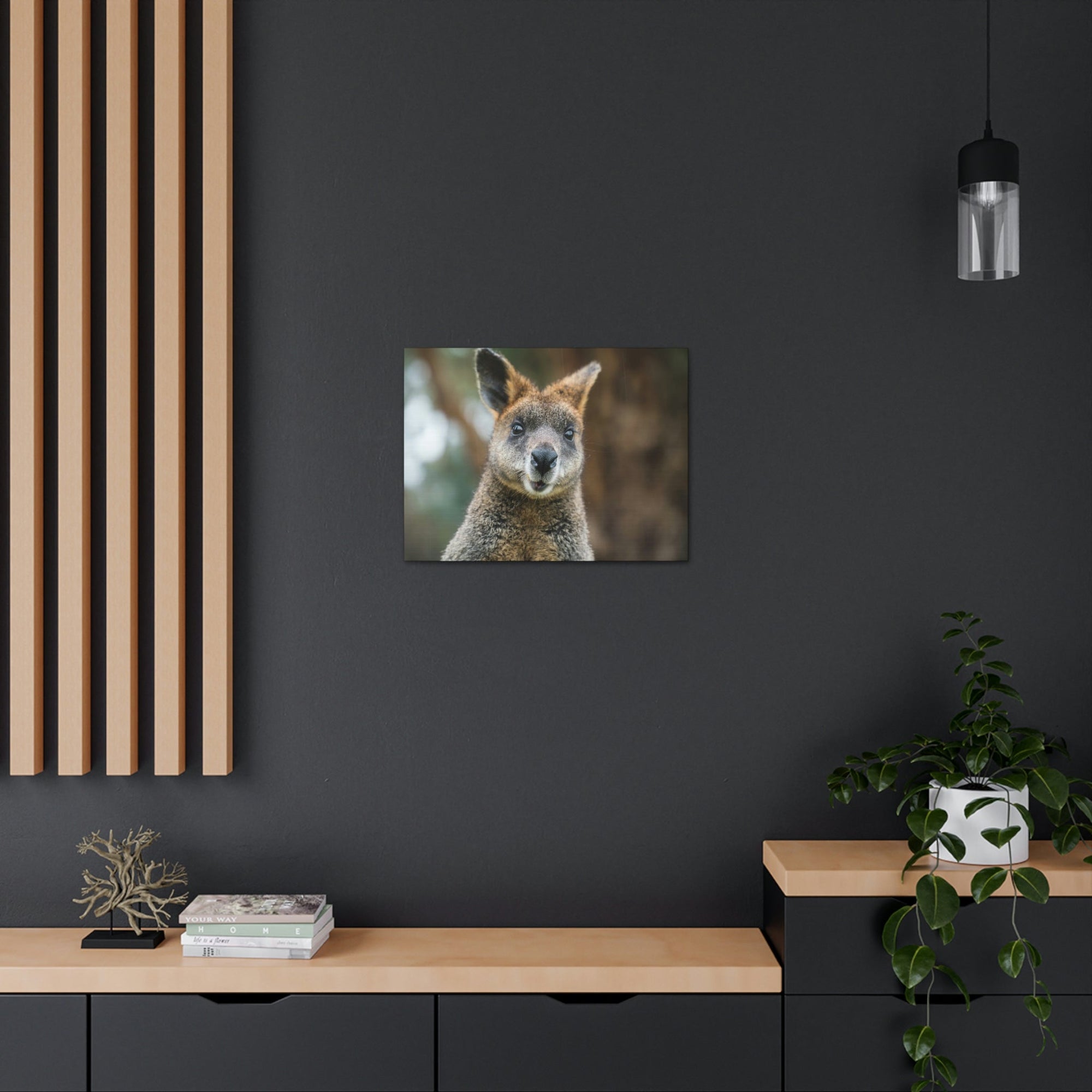 Funny Wallaby Silly Wallaby Scene Outside Wall Art Ready to Hang Unframed-Express Your Love Gifts