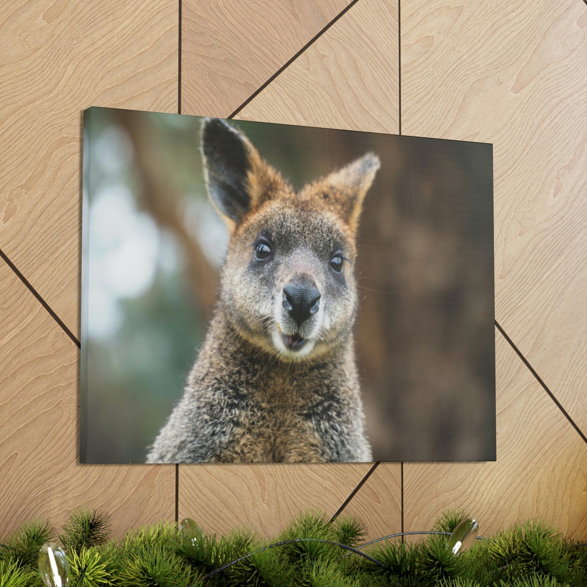 Funny Wallaby Silly Wallaby Scene Outside Wall Art Ready to Hang Unframed-Express Your Love Gifts